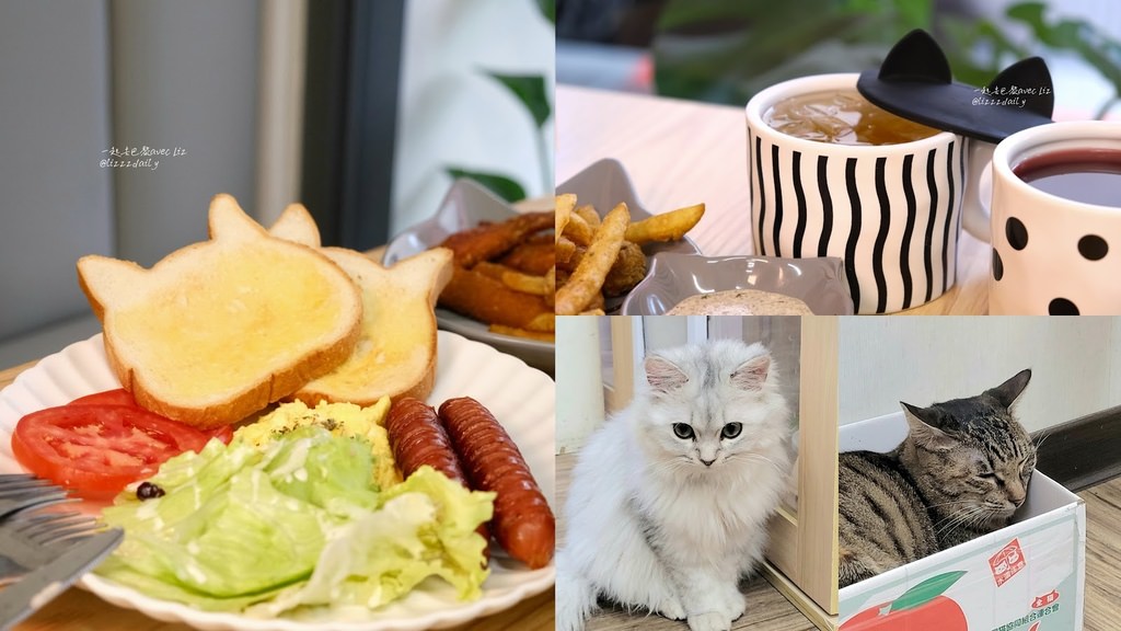 【貓蕊 Cat Cafe】台北景美、世新大學附近人氣貓咪咖啡廳! 四隻可愛店貓X美味早午餐拼盤、美式手工漢堡!