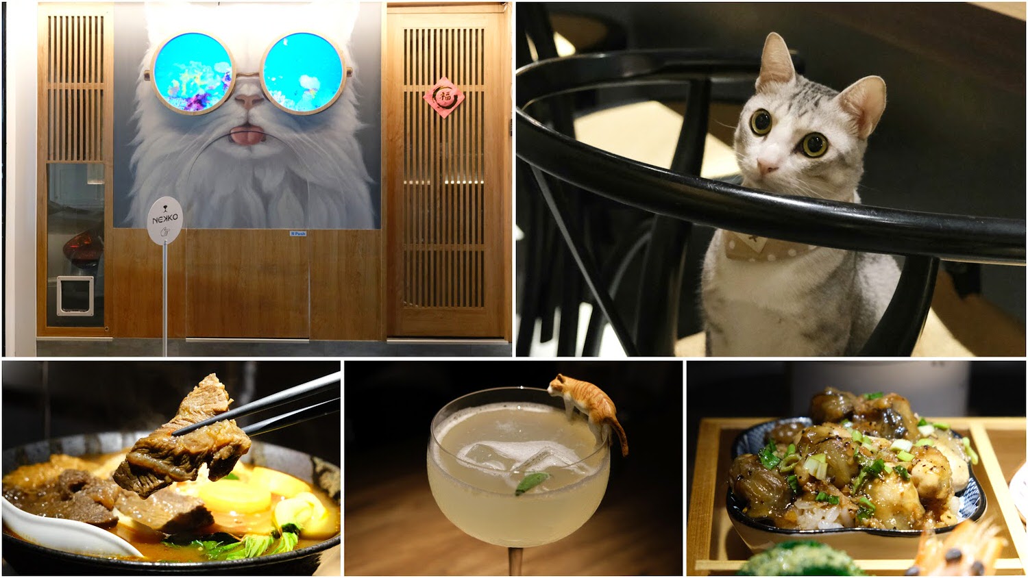 【NEKKO BAR 貓吧】忠孝敦化質感日式寵物友善酒吧推薦！邊嚕貓邊享用清酒 特色調酒、新菜單四宮格小品下酒菜