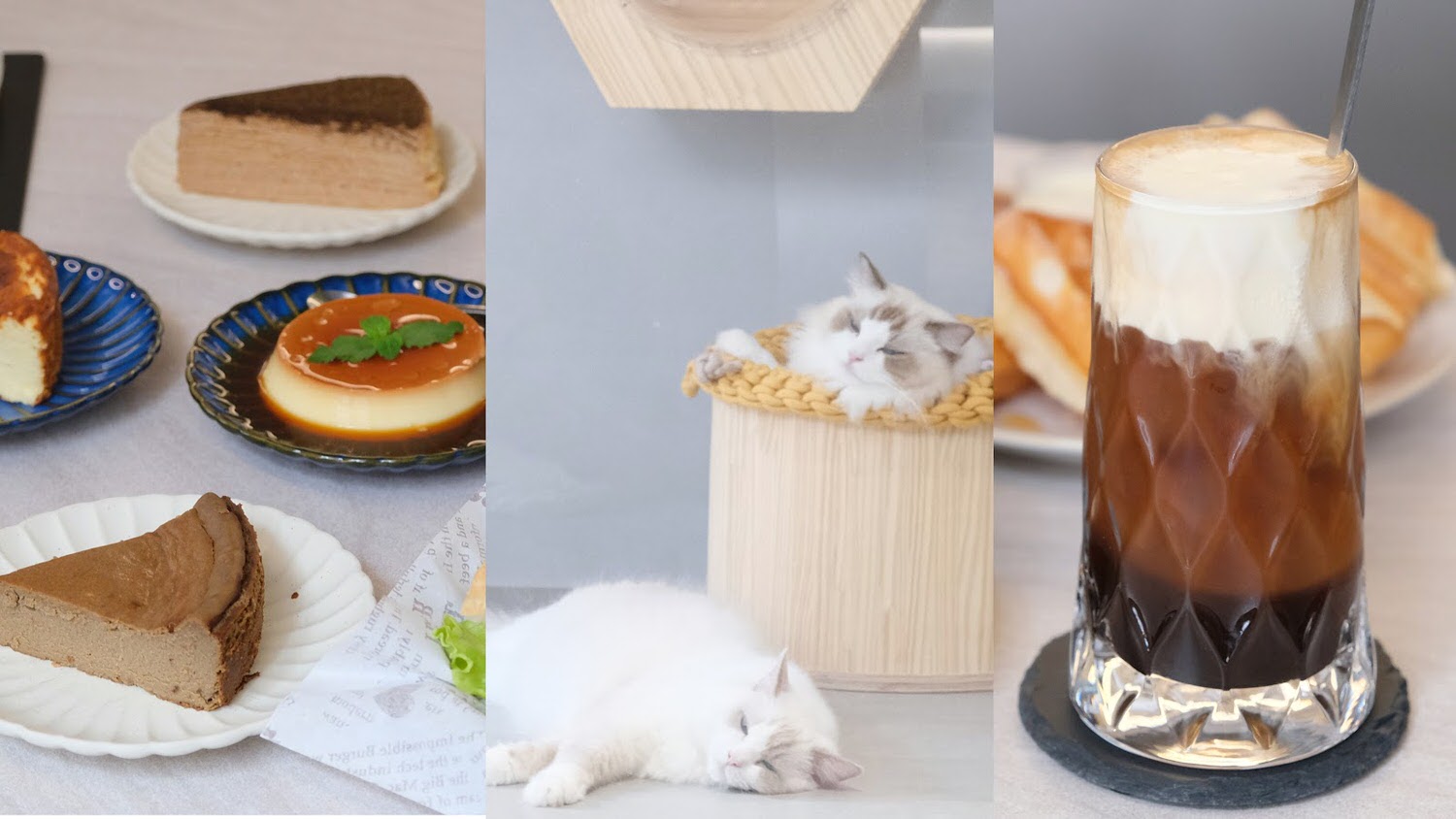 【新店咖啡廳甜點店】晒渡咖啡saiducafe 寵物友善咖啡廳推薦！內有兩隻可愛布偶貓/多款當日手作巴斯克蛋糕