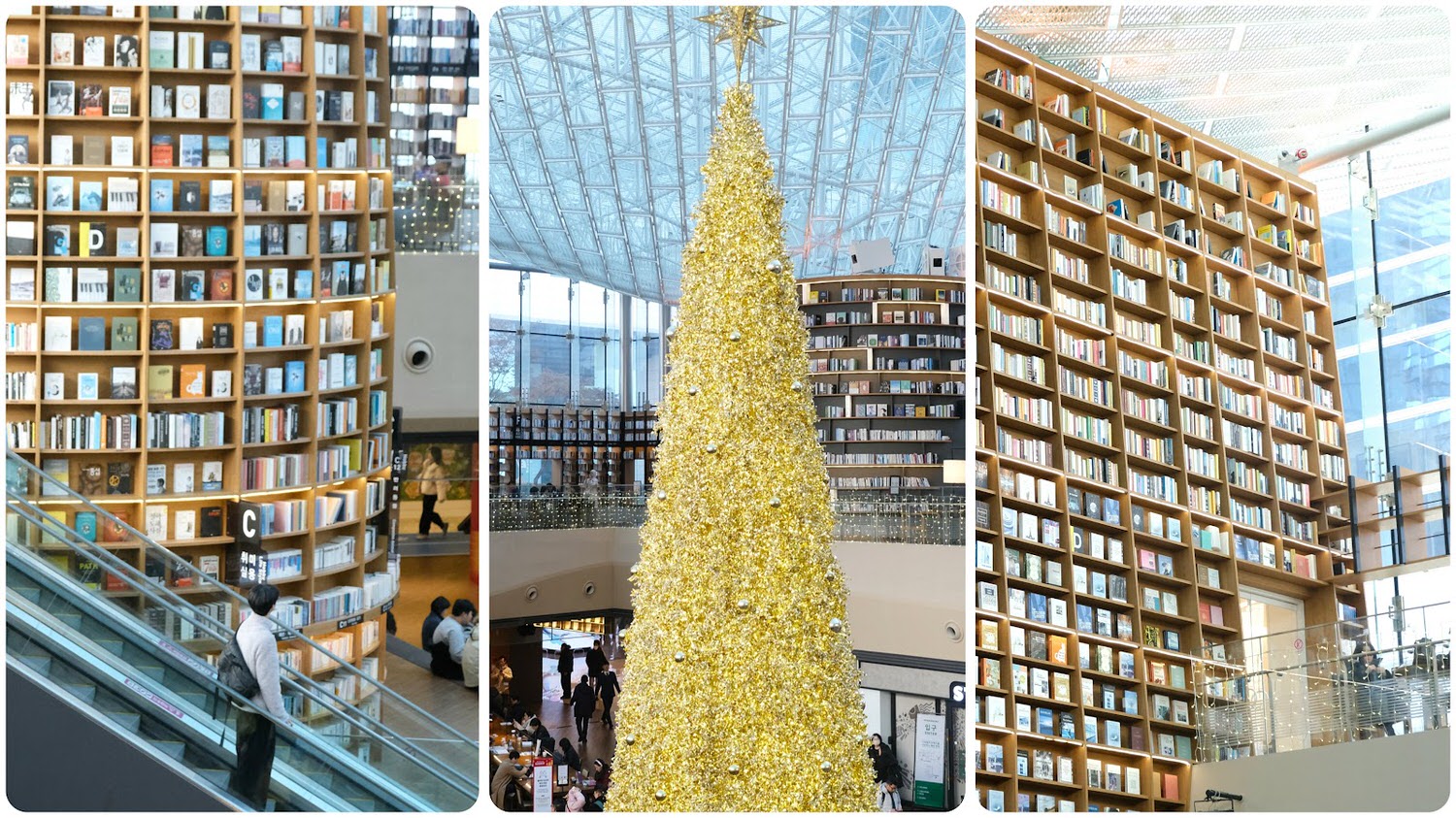【首爾景點】Coex Mall星空圖書館별마당도서관 超巨大三層樓高書牆，首爾三成站文青免費景點！