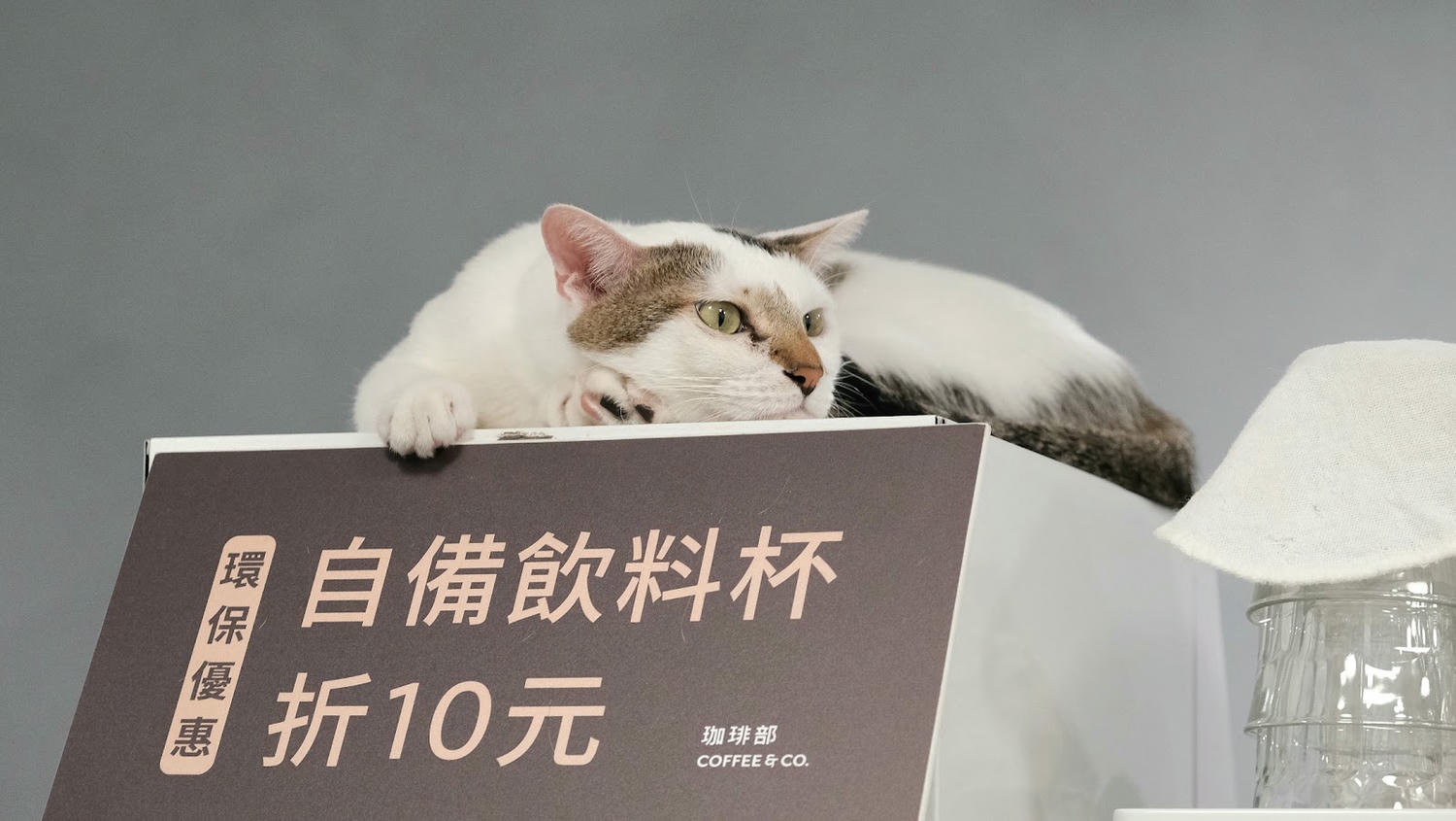 20241016_l9too