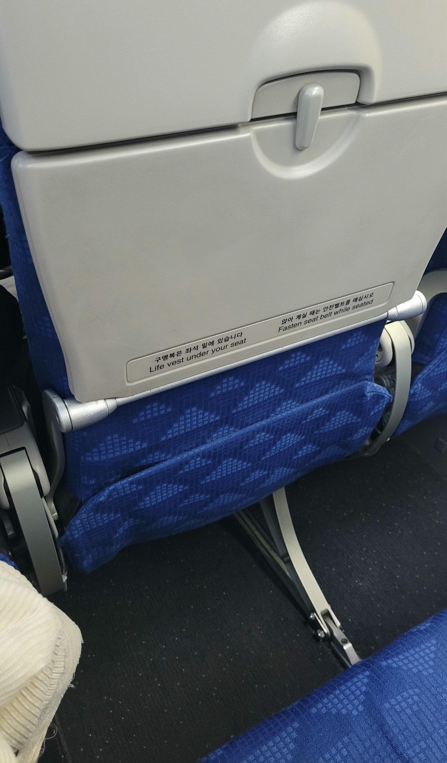 【真航空評價】LJ738釜山、LJ743大邱,一年兩次大促銷便宜機票怎麼買?托運行李規定? - 第20張圖 真航空 開箱 機上座位分享