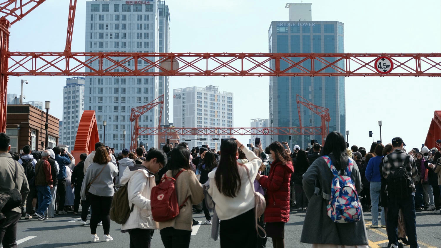 【釜山影島大橋】2025開橋時間幾點?這個時間看「開橋秀及九隻海鷗」/釜山第一座跨海大橋 - 第4張圖