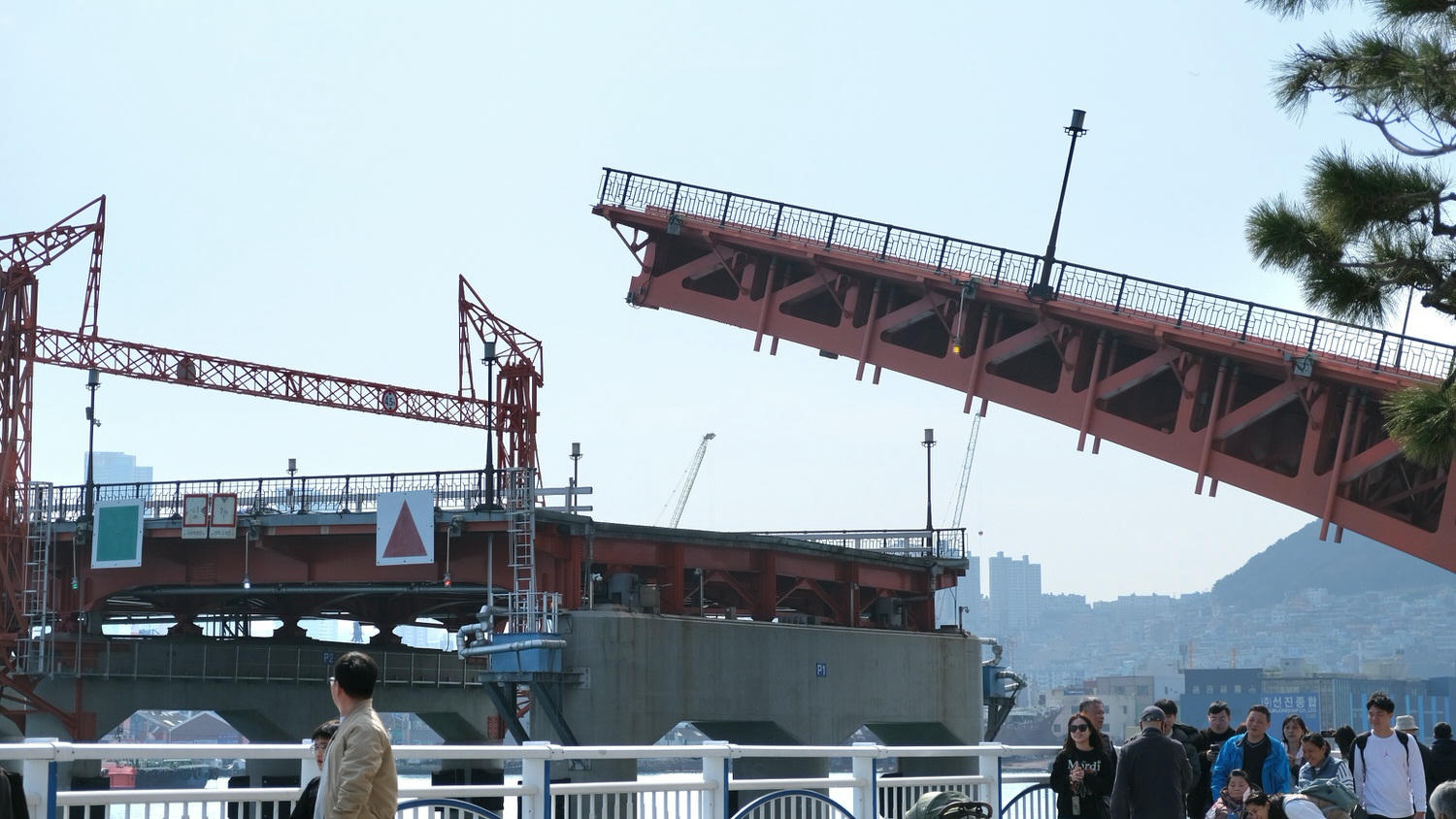 【釜山影島大橋】2025開橋時間幾點?這個時間看「開橋秀及九隻海鷗」/釜山第一座跨海大橋 - 第10張圖