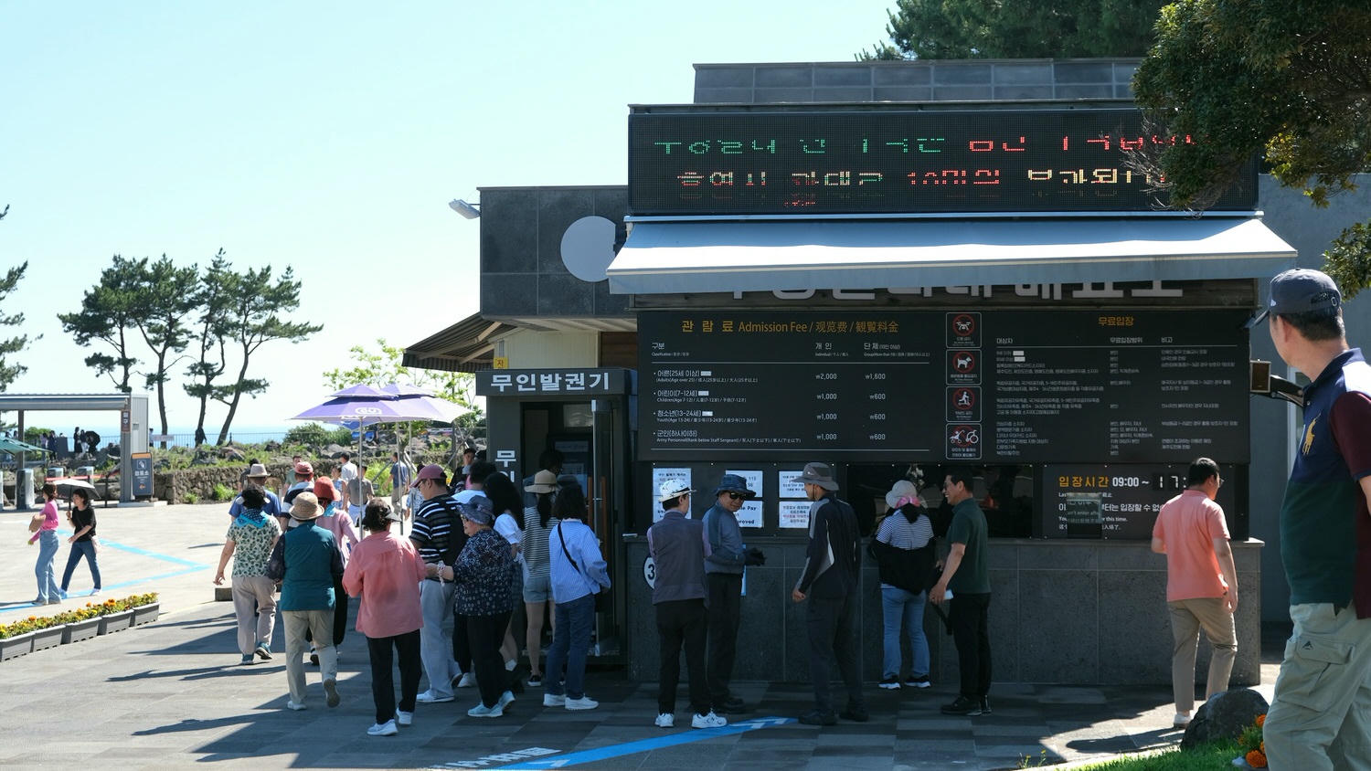【大浦柱狀節理帶】濟州島西歸浦奇特自然景點/壯闊景緻及蔚藍海景熱門必拍! - 第1張圖