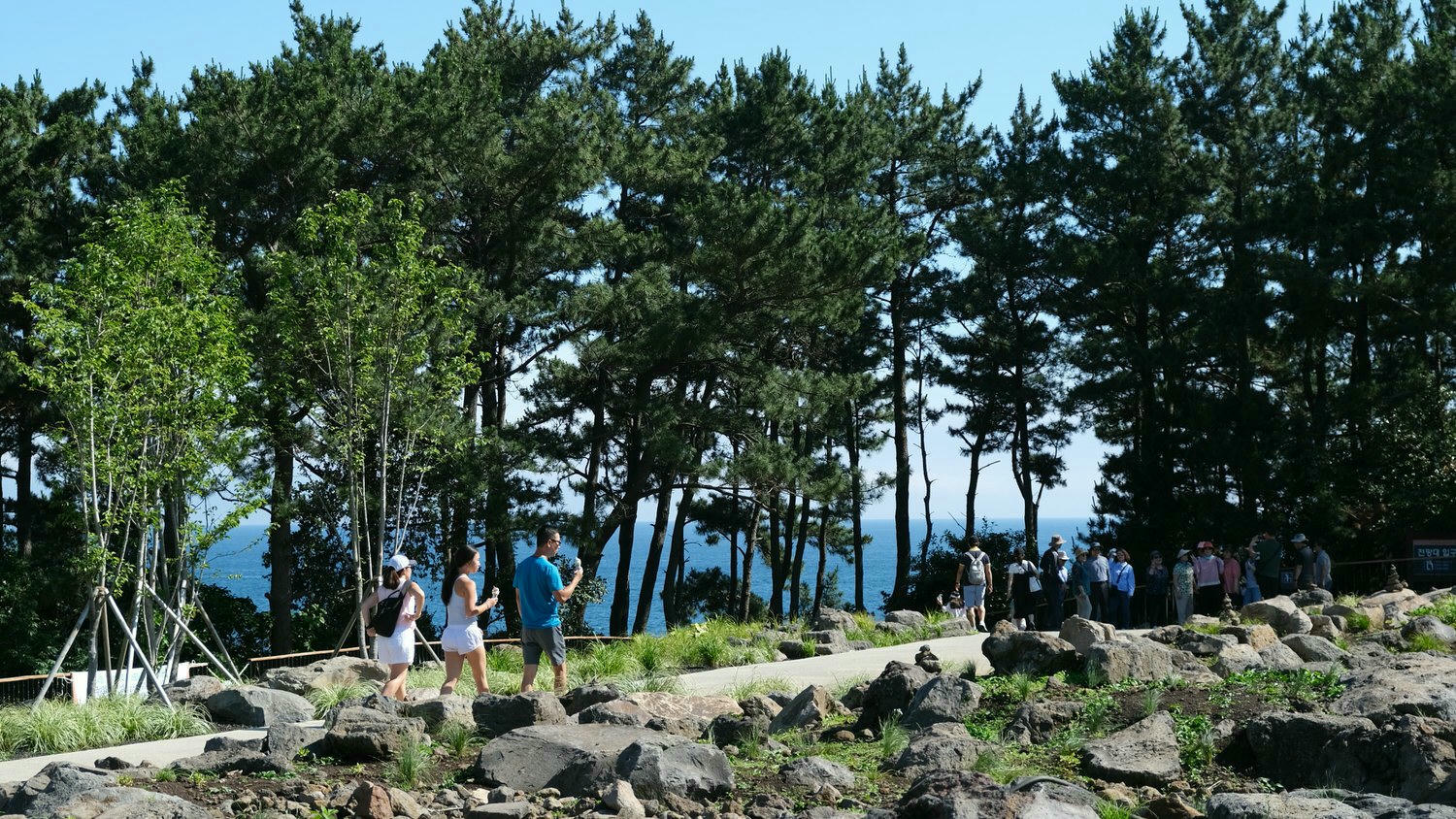 【大浦柱狀節理帶】濟州島西歸浦奇特自然景點/壯闊景緻及蔚藍海景熱門必拍! - 第4張圖