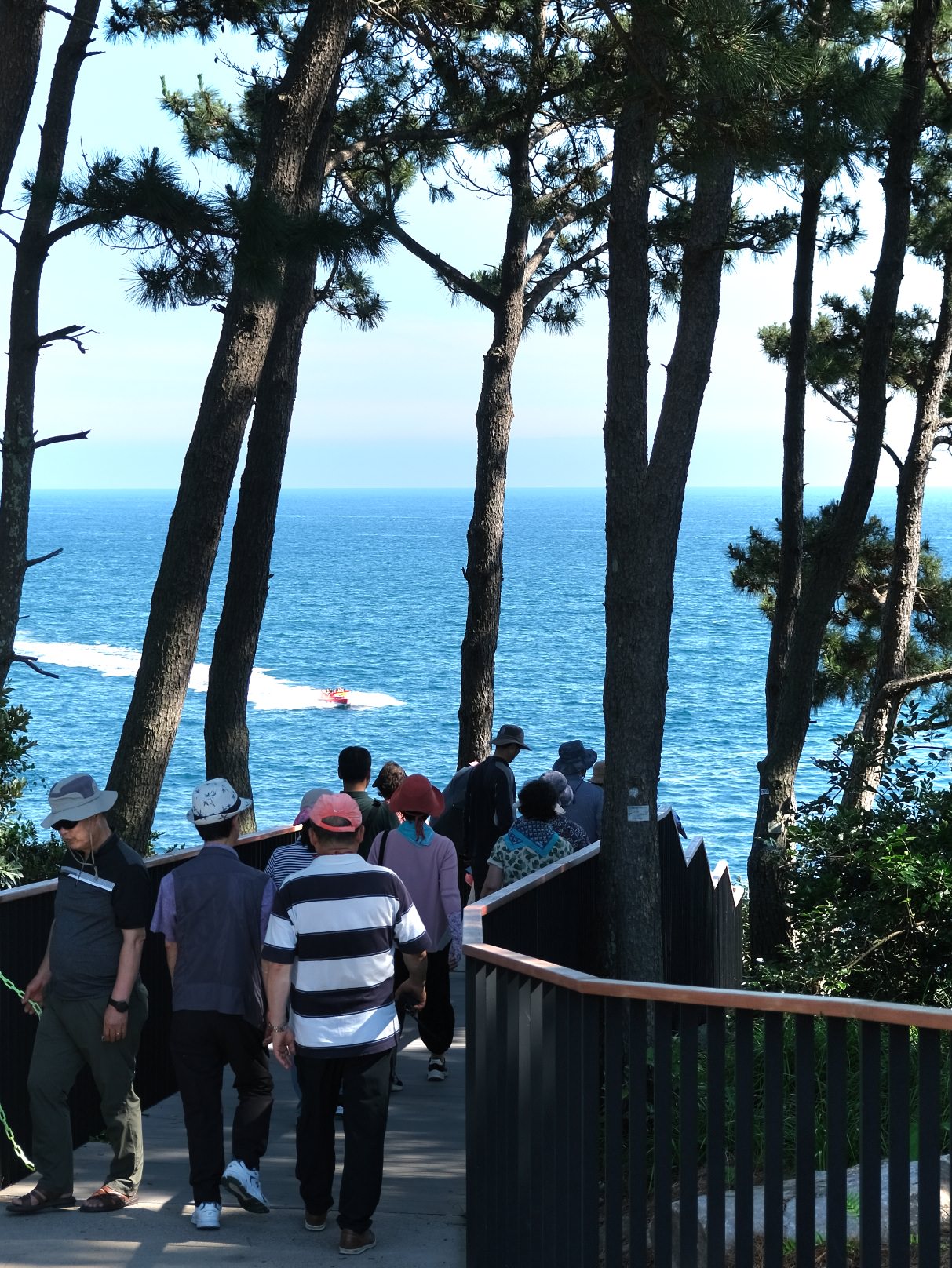 【大浦柱狀節理帶】濟州島西歸浦奇特自然景點/壯闊景緻及蔚藍海景熱門必拍! - 第5張圖