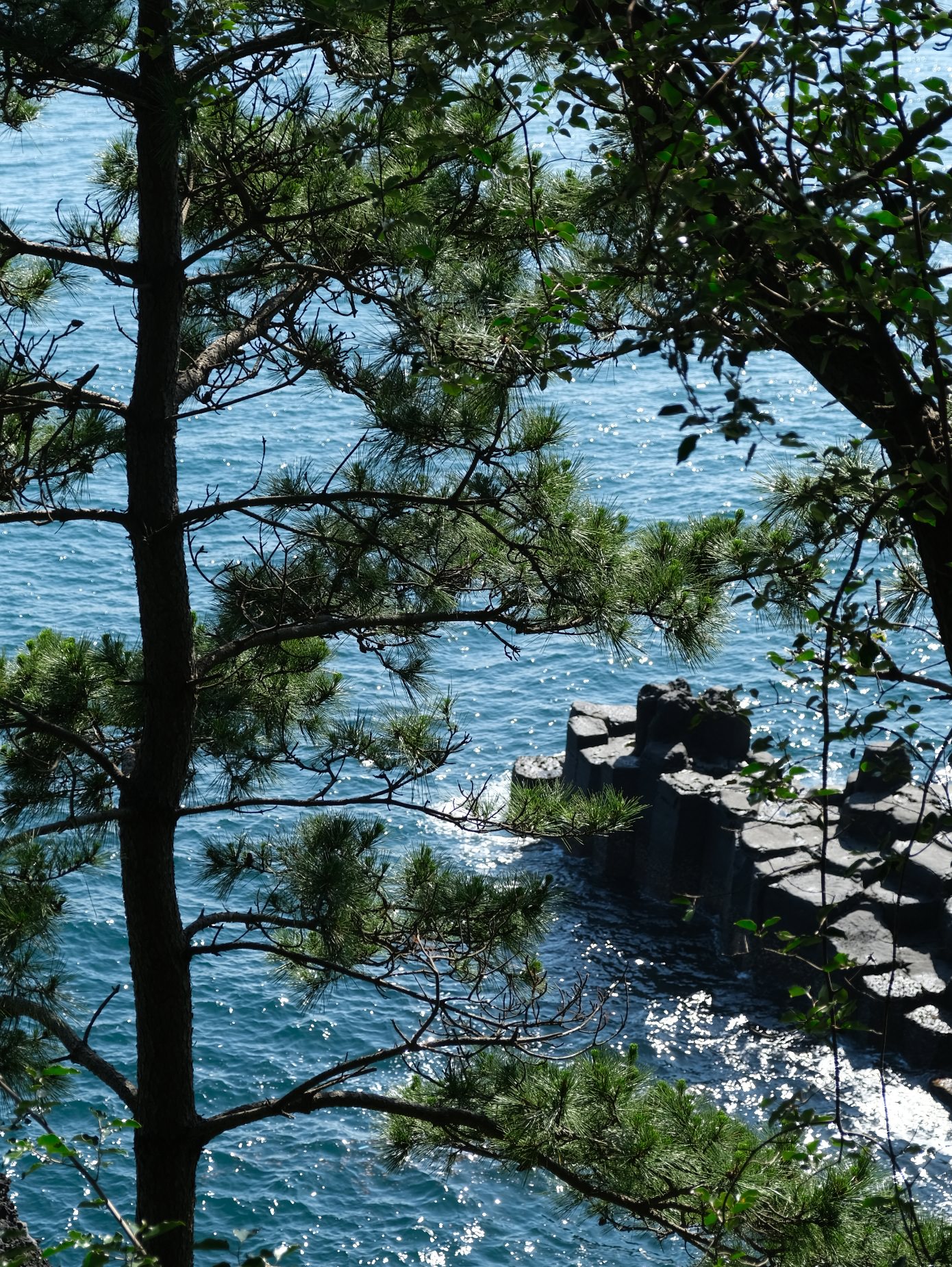 【大浦柱狀節理帶】濟州島西歸浦奇特自然景點/壯闊景緻及蔚藍海景熱門必拍! - 第17張圖