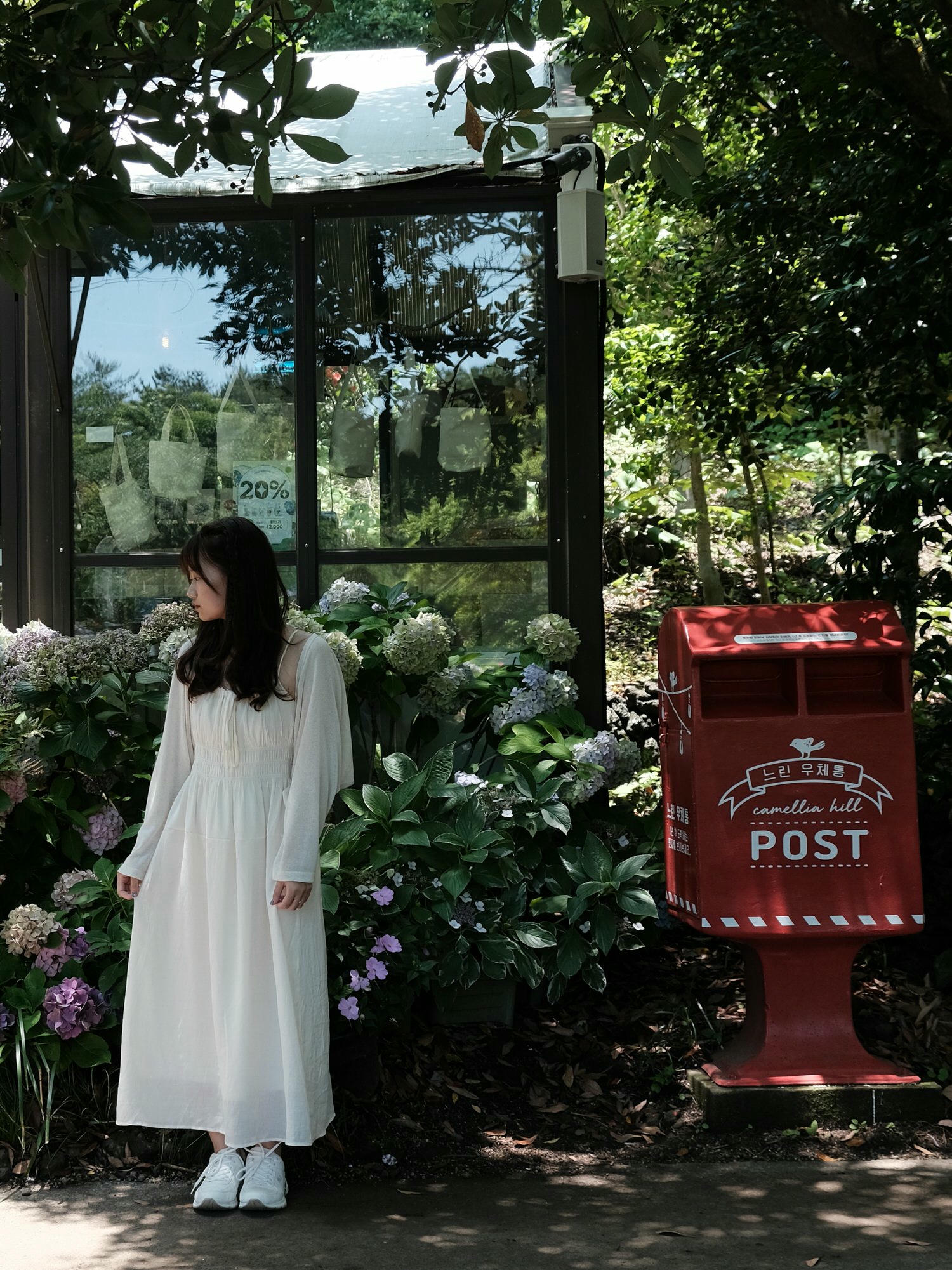 【濟州島山茶花之丘Camellia Hill】浪漫繽紛繡球花!西歸浦夏季必訪景點 - 第19張圖