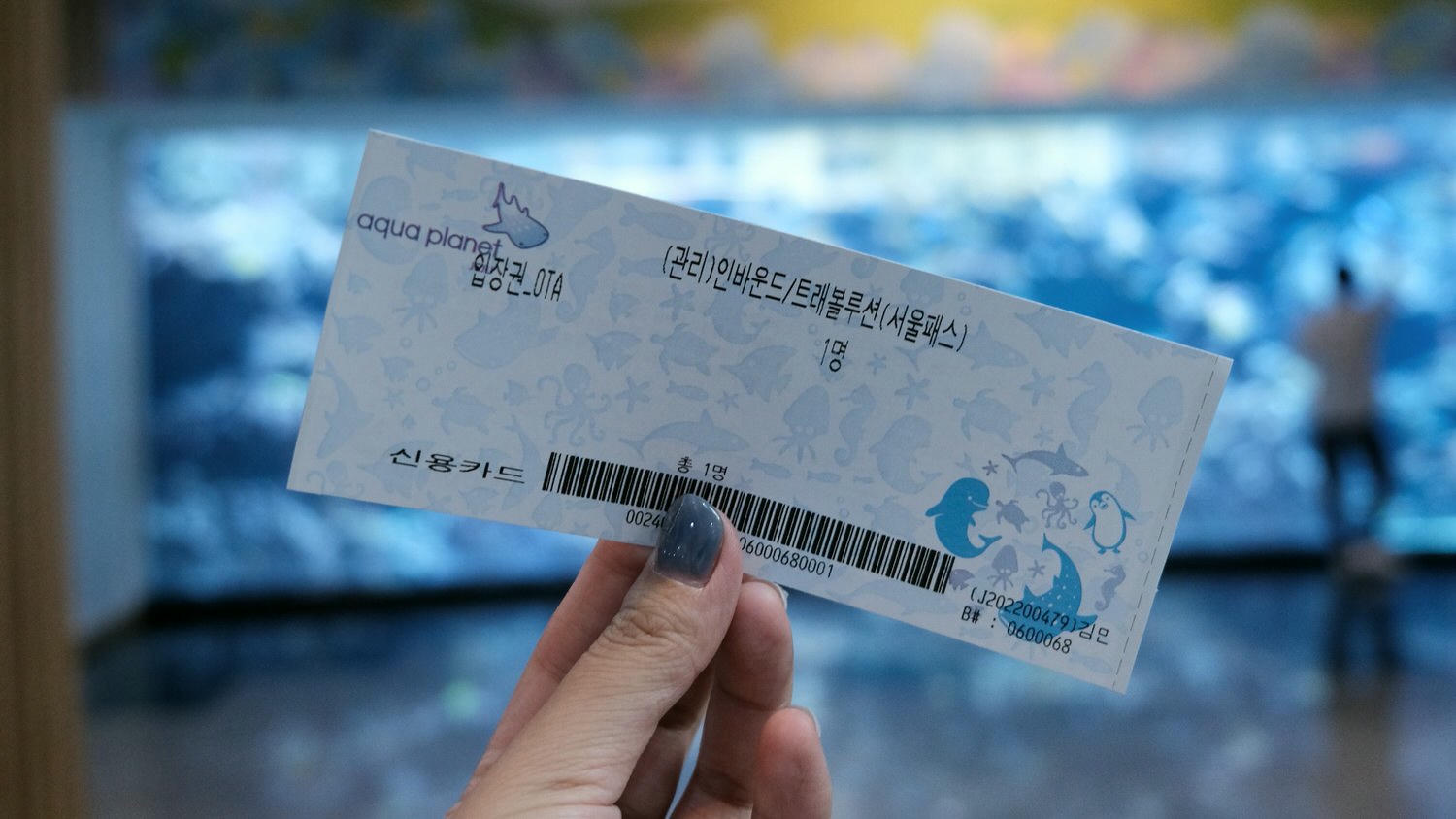濟州島Aqua Planet 韓國最大水族館/海底隧道、魚種豐富/還有海洋劇場表演! - 第3張圖