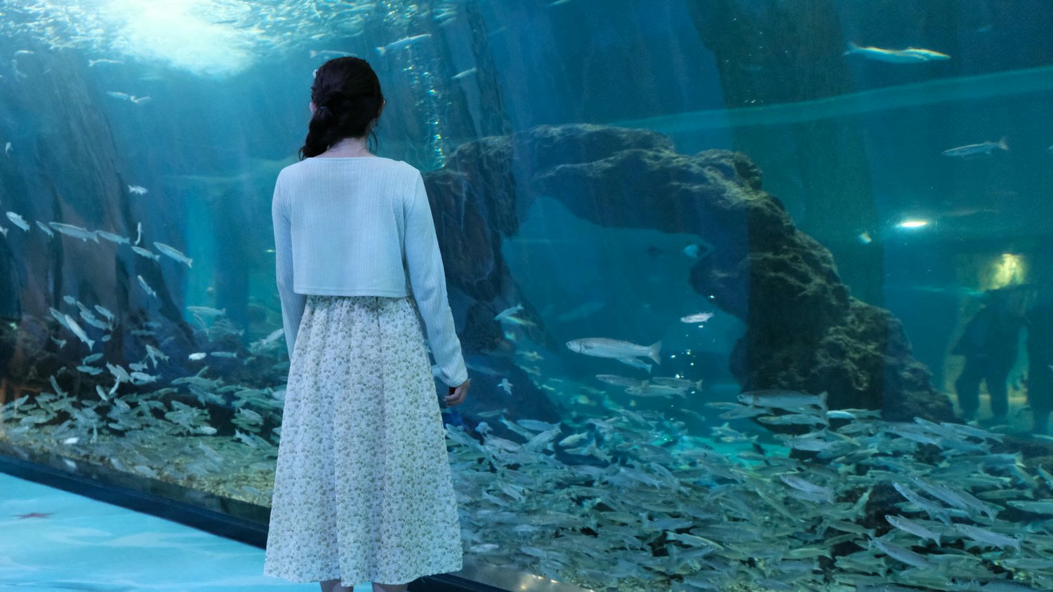 濟州島Aqua Planet 韓國最大水族館/海底隧道、魚種豐富/還有海洋劇場表演! - 第20張圖