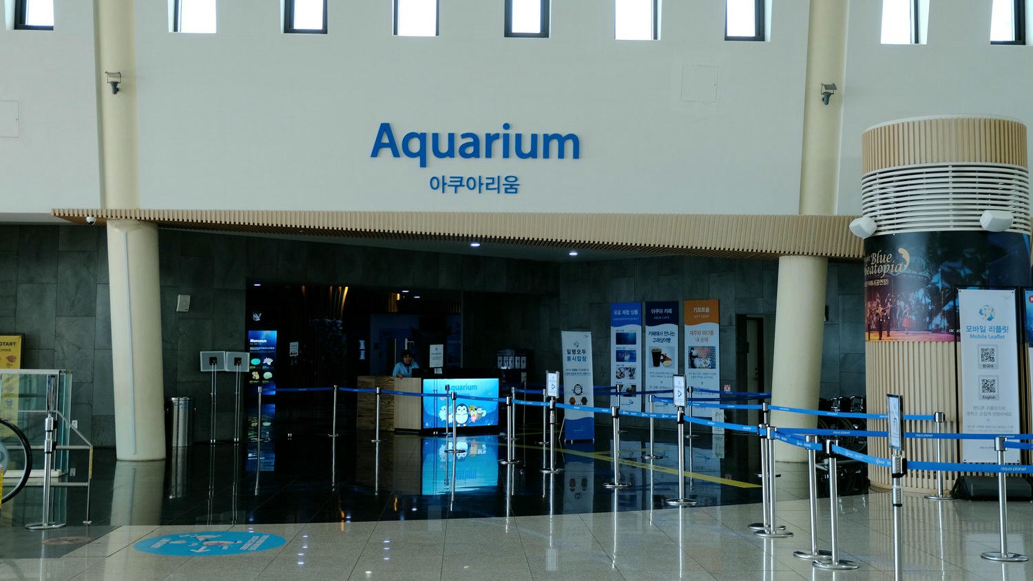 濟州島Aqua Planet 韓國最大水族館/海底隧道、魚種豐富/還有海洋劇場表演! - 第4張圖
