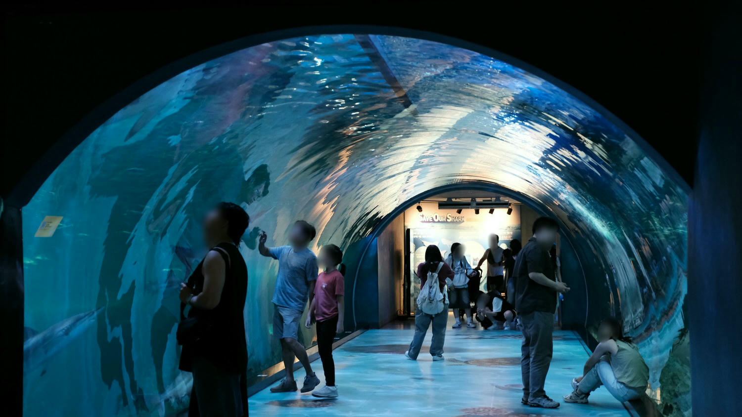 濟州島Aqua Planet 韓國最大水族館/海底隧道、魚種豐富/還有海洋劇場表演! - 第18張圖