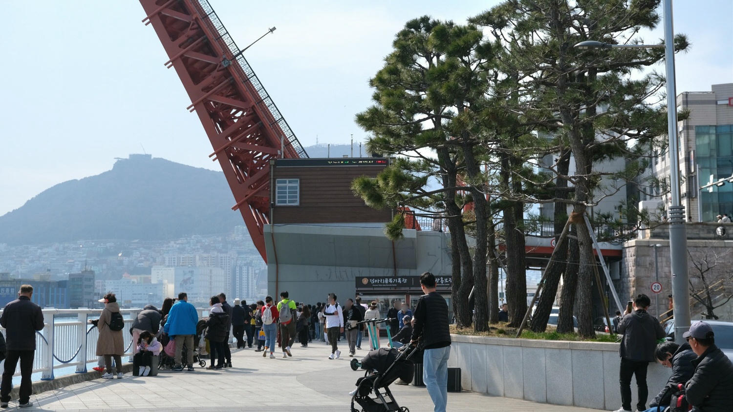 【釜山影島大橋】2025開橋時間幾點?這個時間看「開橋秀及九隻海鷗」/釜山第一座跨海大橋 - 第8張圖
