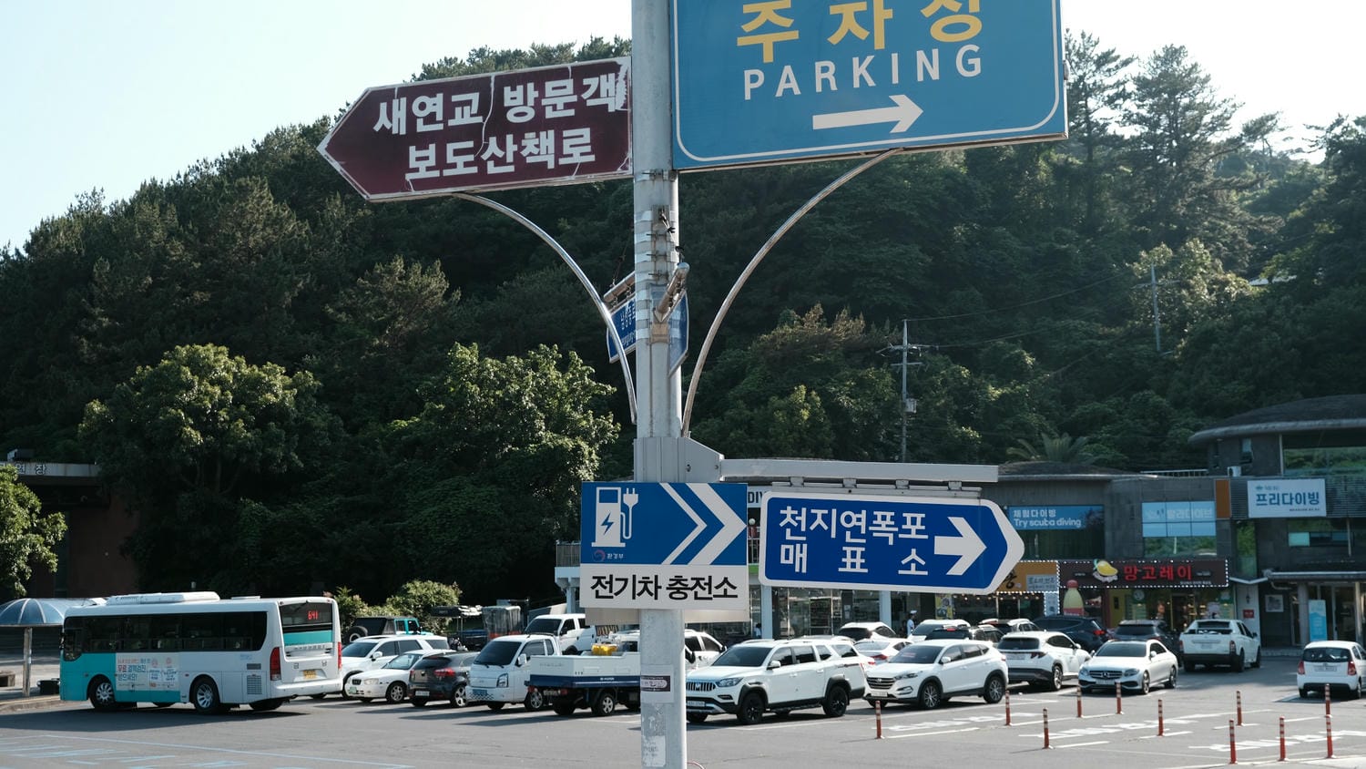 天地淵瀑布(천지연폭포)濟州島三大瀑布之一!天、地交匯所形成的深淵,自然綠樹溪水、天然紀念物 - 第2張圖