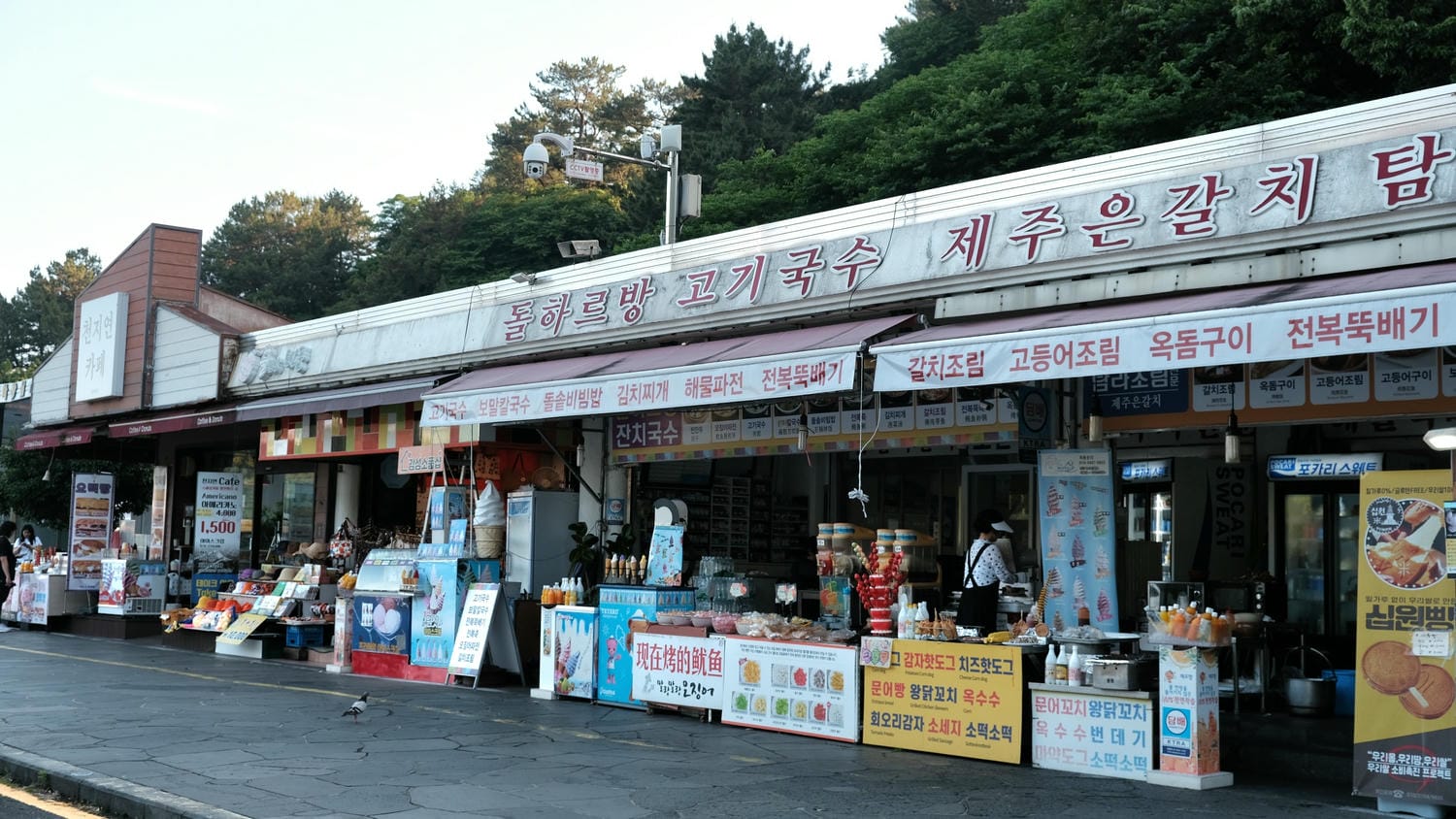 天地淵瀑布(천지연폭포)濟州島三大瀑布之一!天、地交匯所形成的深淵,自然綠樹溪水、天然紀念物 - 第3張圖