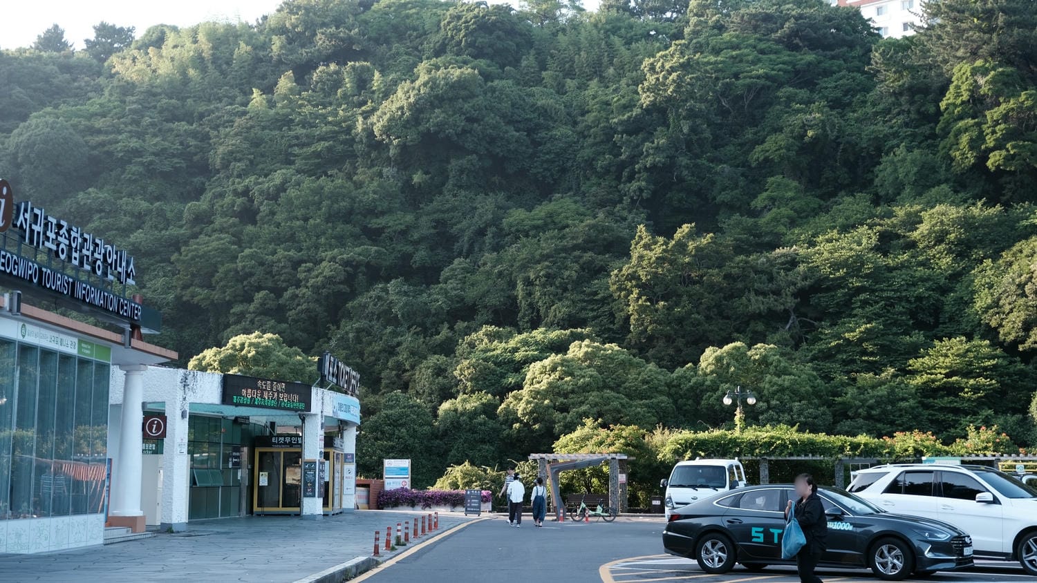 天地淵瀑布(천지연폭포)濟州島三大瀑布之一!天、地交匯所形成的深淵,自然綠樹溪水、天然紀念物 - 第4張圖