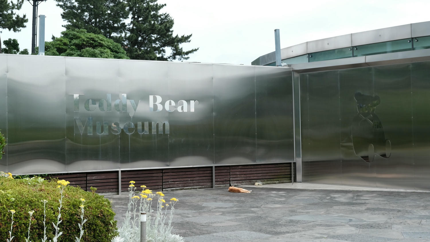 濟州島 泰迪熊博物館테디베어뮤지엄제주,展區多達1800個泰迪熊 讓人少女心噴發的夢幻熊熊世界! - 第2張圖