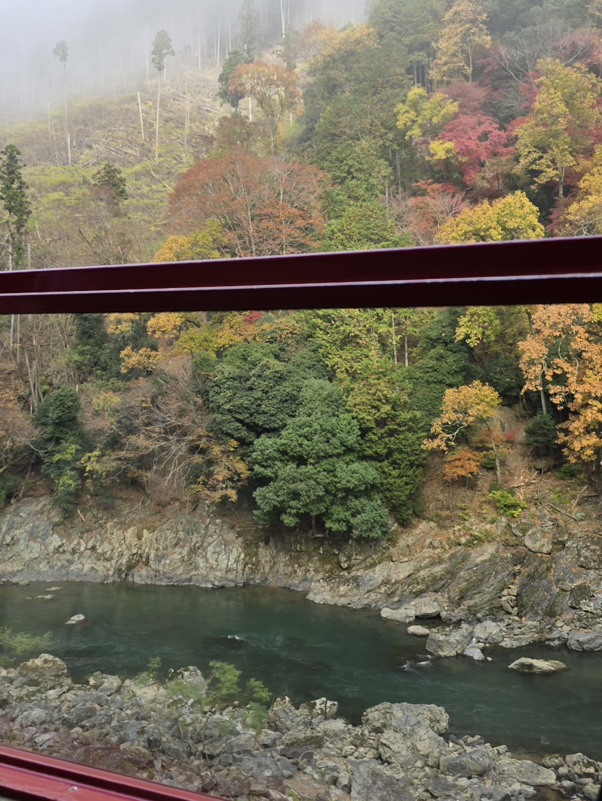 【京都嵐山小火車】櫻花、楓葉季必搭人氣觀光列車!訂票預約教學、座位、交通攻略一篇搞定 - 第22張圖
