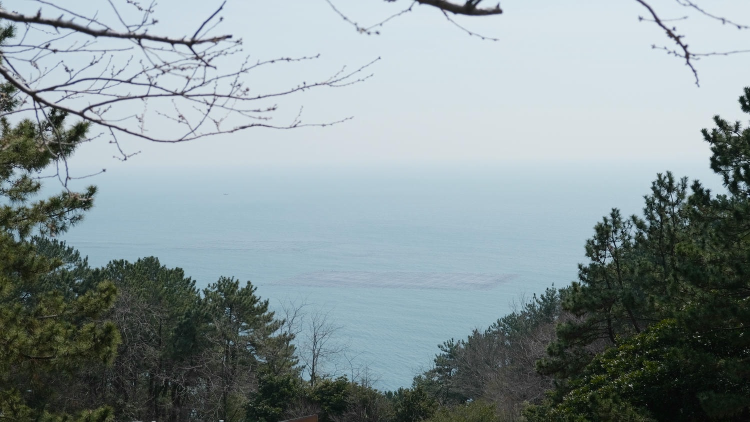【海月亭】海雲台迎月嶺迎月路散步,釜山櫻花季景點之一! - 第5張圖
