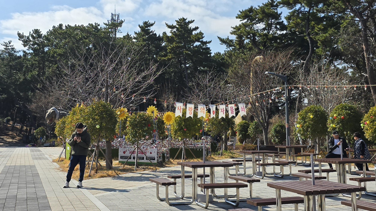 【2025釜山松島海上纜車】腳底全透明水晶車廂心得、門票、交通圖解、busan pass免費搭乘! - 第25張圖