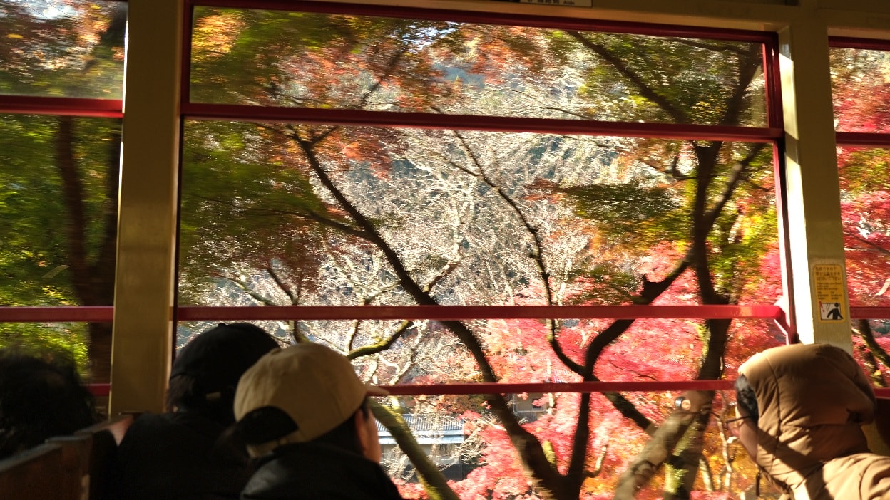 【京都嵐山小火車】櫻花、楓葉季必搭人氣觀光列車!訂票預約教學、座位、交通攻略一篇搞定 - 第20張圖