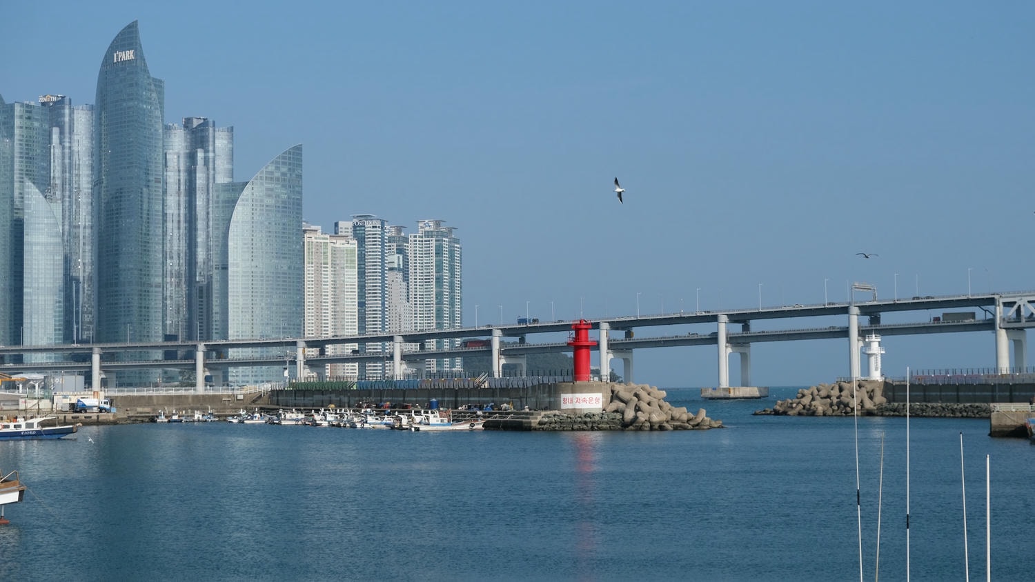 民樂港與廣安大橋:少有人知的廣安里低調美景 - 第4張圖