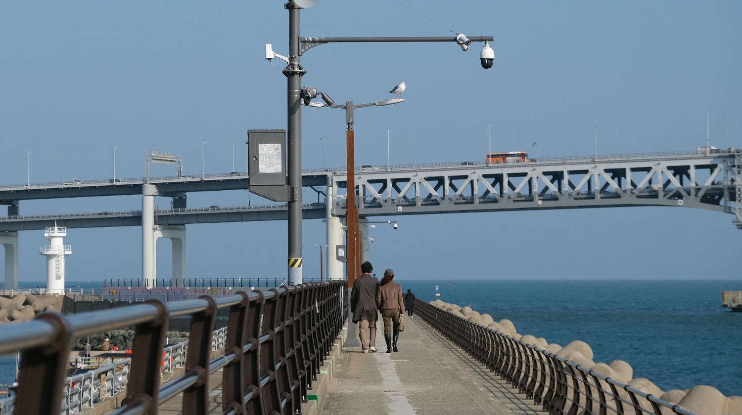民樂港與廣安大橋:少有人知的廣安里低調美景 - 第8張圖
