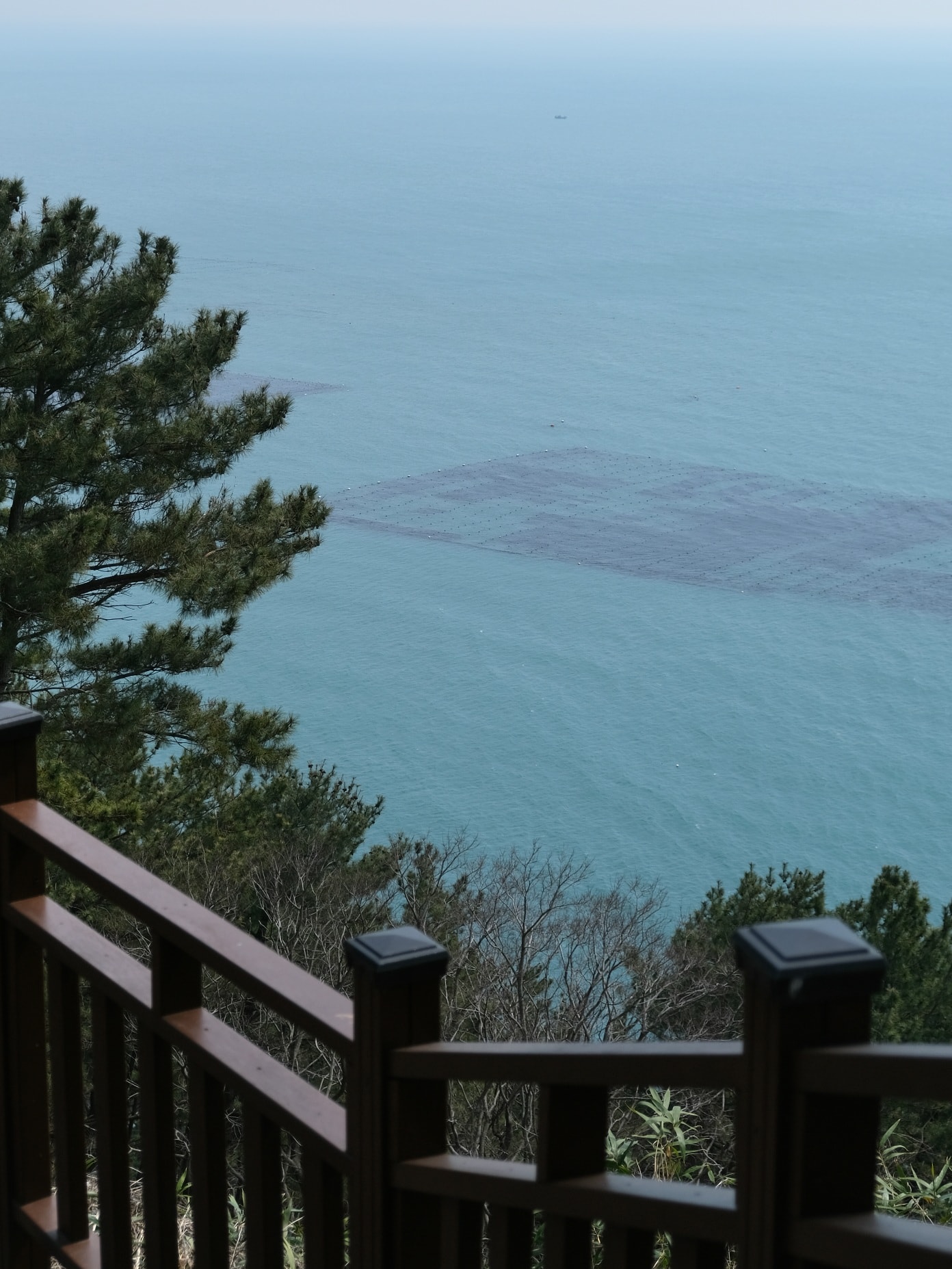 【海月亭】海雲台迎月嶺迎月路散步,釜山櫻花季景點之一! - 第13張圖