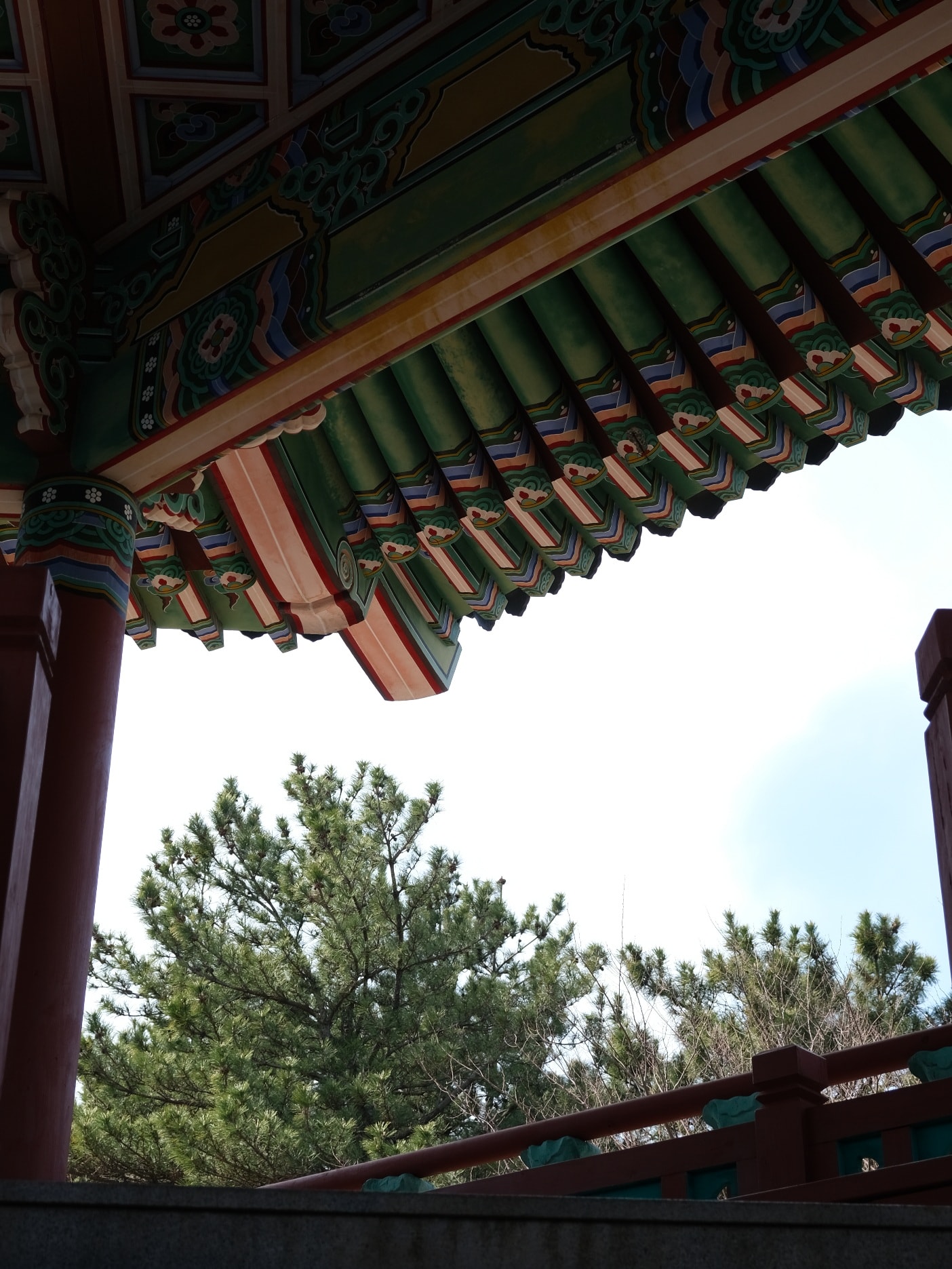 【海月亭】海雲台迎月嶺迎月路散步,釜山櫻花季景點之一! - 第11張圖