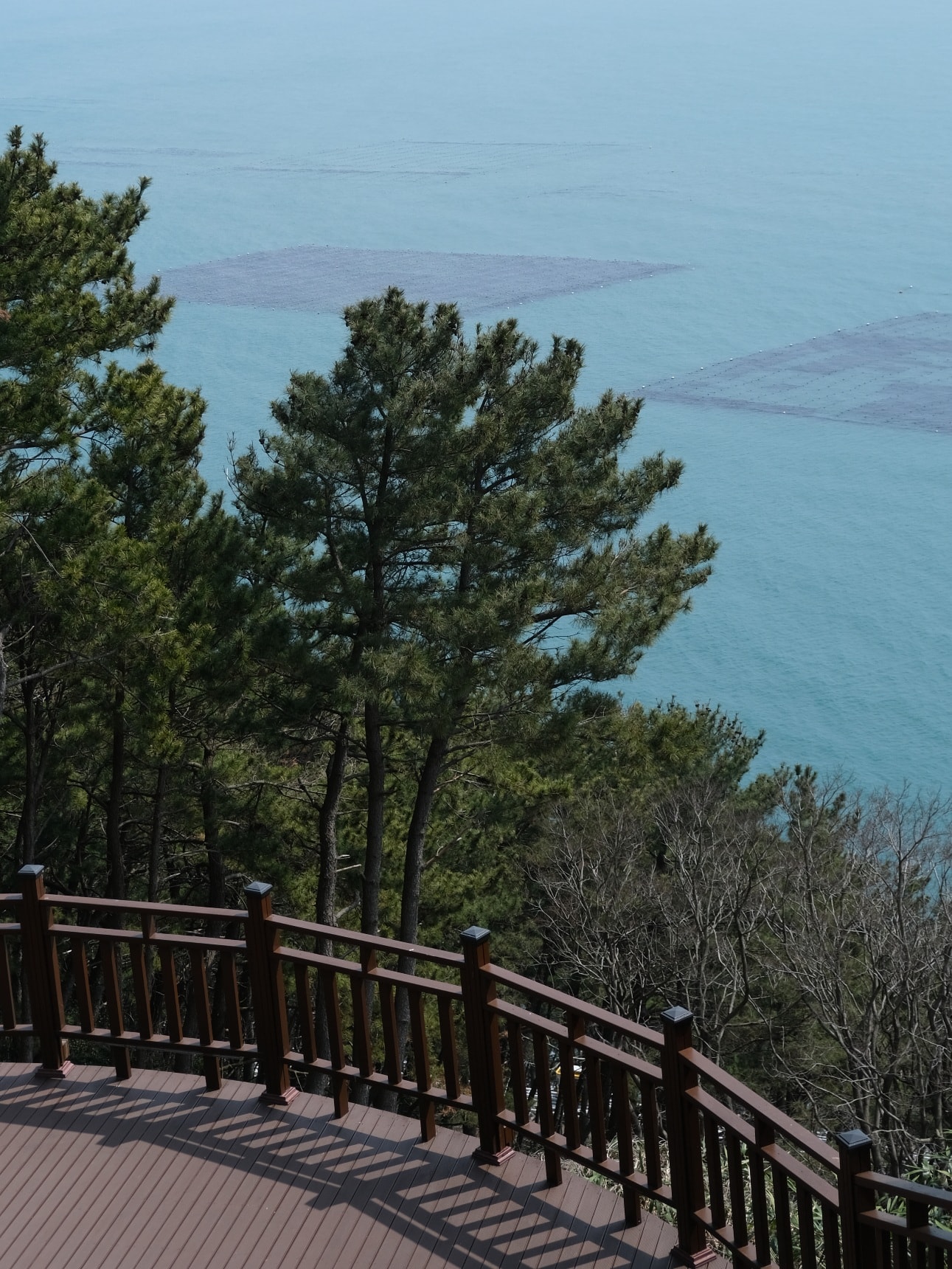 【海月亭】海雲台迎月嶺迎月路散步,釜山櫻花季景點之一! - 第12張圖