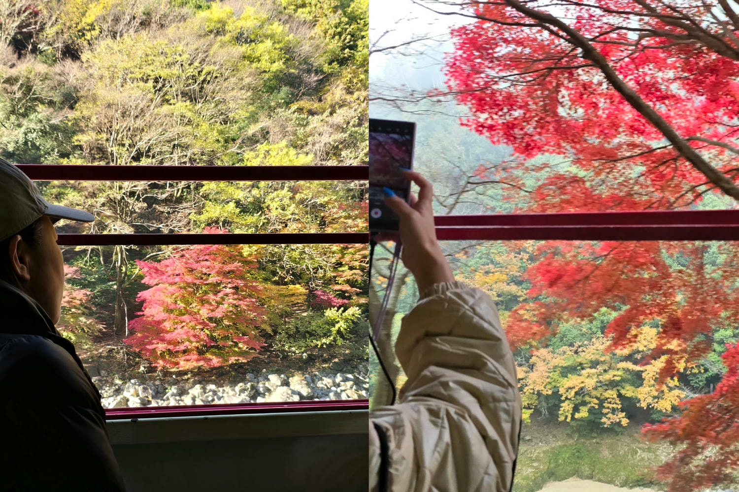 【京都嵐山小火車】櫻花、楓葉季必搭人氣觀光列車!訂票預約教學、座位、交通攻略一篇搞定 - 第18張圖