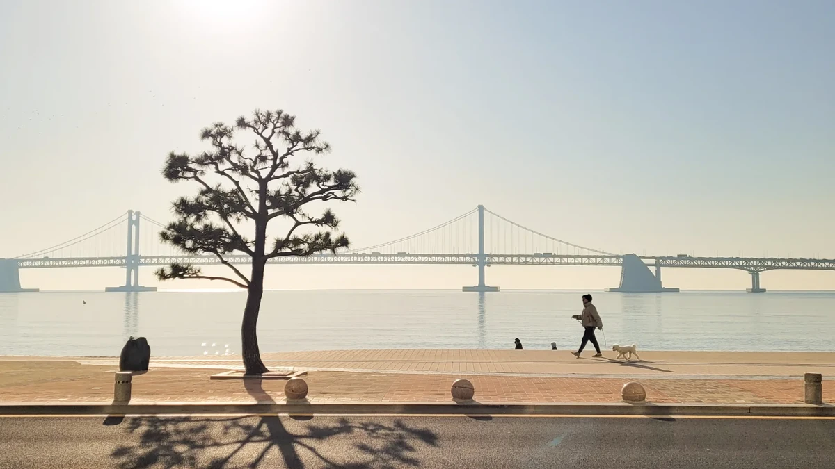 【廣安里一日遊攻略】廣安里海水浴場.景點地圖.夜景看廣安大橋、浪漫散步行程! - 第1張圖 廣安里海灘清晨散步