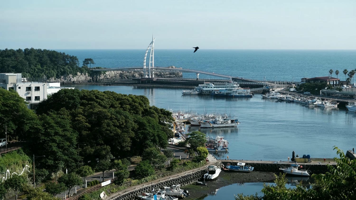 【濟州島西部景點推薦】西南部一日遊路線|人氣&私房海景+橘子咖啡廳(附景點地圖) - 第12張圖