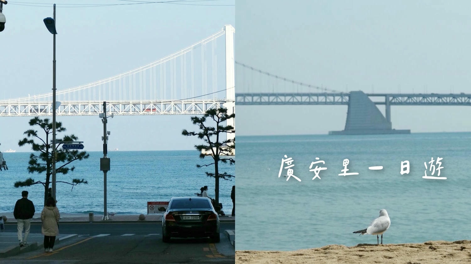 【釜山Yacht Holic遊艇】釜山pass預約教學及景點分享/時刻表.煙火.無人機/VISIT BUSAN PASS 免費搭 - 第36張圖