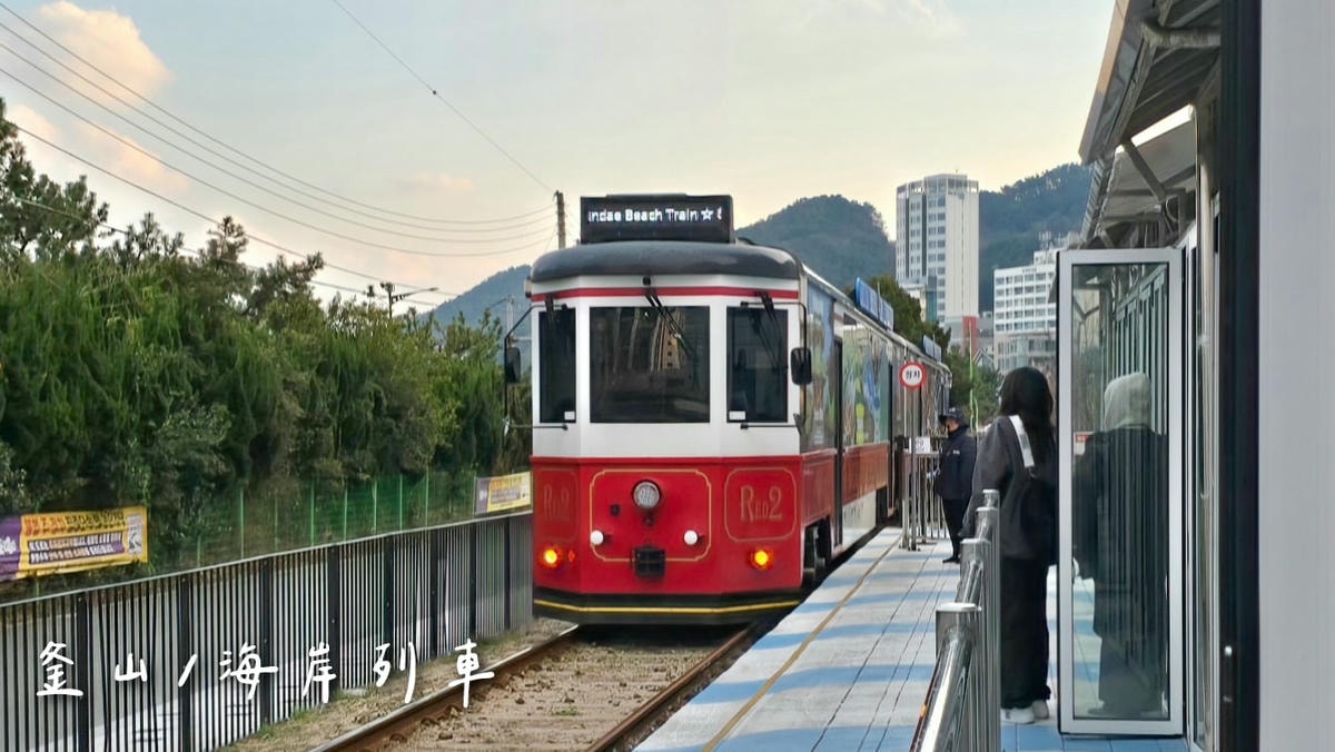 我於2025年搭乘海岸列車，欣賞沿途海岸風光。