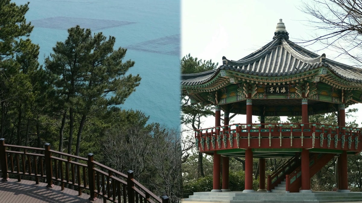 我發現了海雲臺迎月路(해운대달맞이길)迎月嶺秘密賞海景之地。