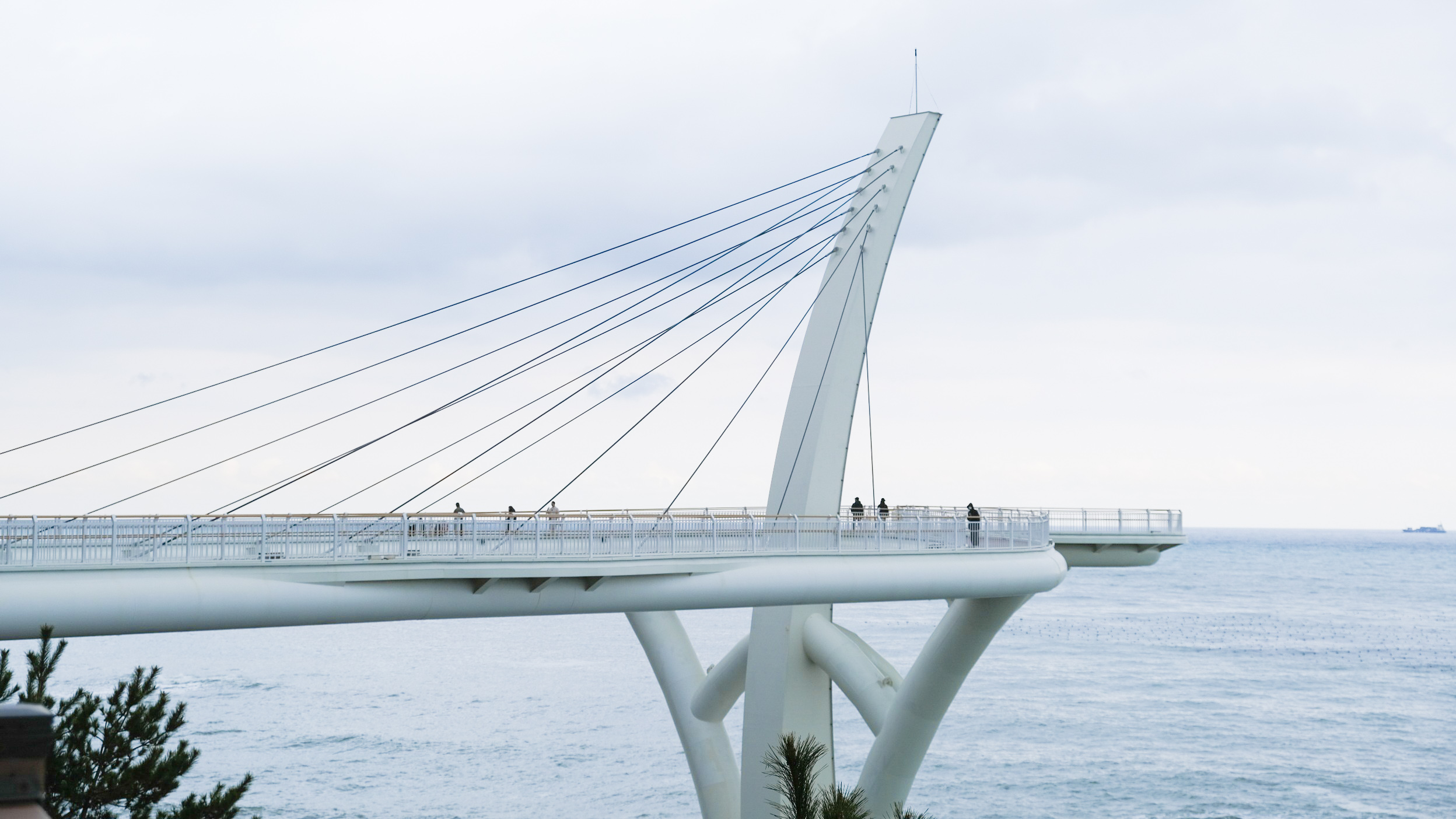 【海月展望台】海雲台免費新景點!漫步海月天空步道、透明玻璃地板看海! - 第4張圖