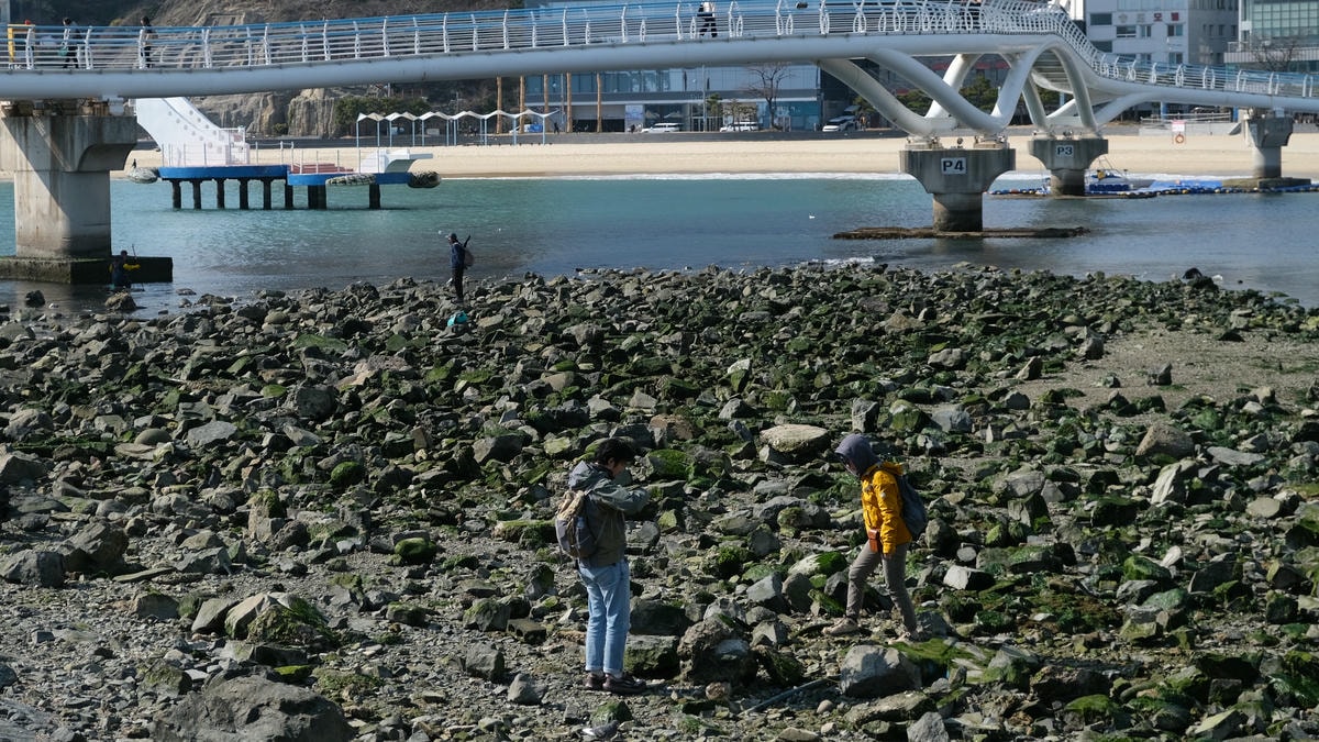 【松島天空步道】송도구름산책로交通方式.釜山松島的簍空步道,漫步在海上、更貼近海的免費景點! - 第16張圖