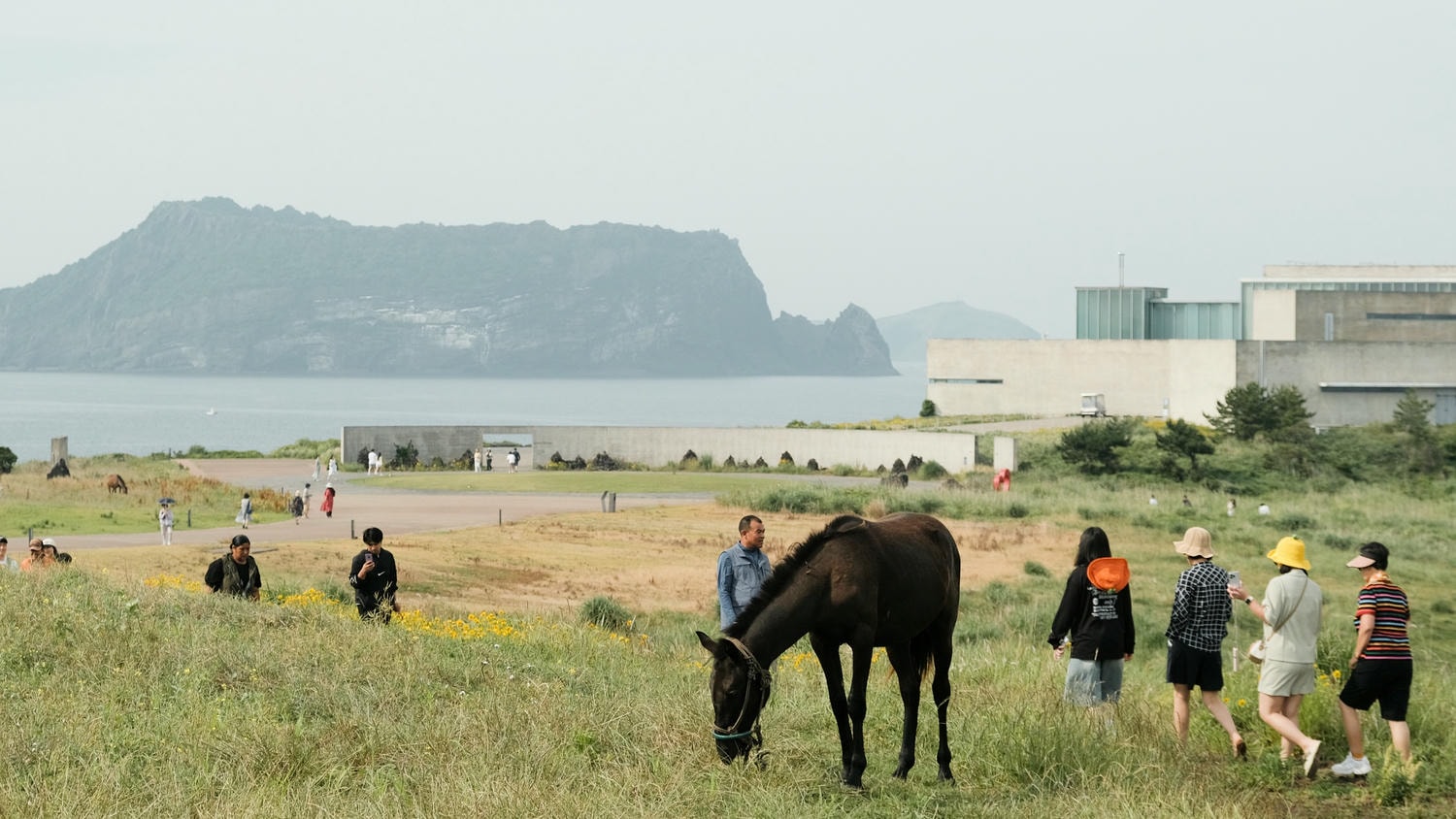 【濟州島東部景點&一日遊】從自然遺產到海岸美景,一日玩遍6大精選景點(詳細行程規劃) - 第1張圖