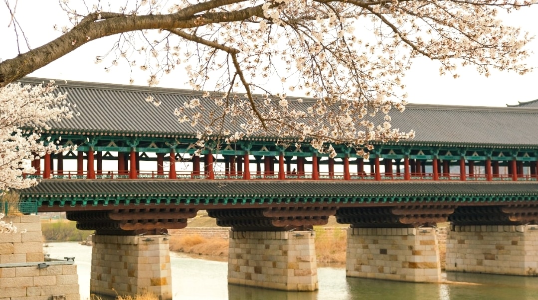 我在櫻花季時走訪慶州一日遊景點 月經橋