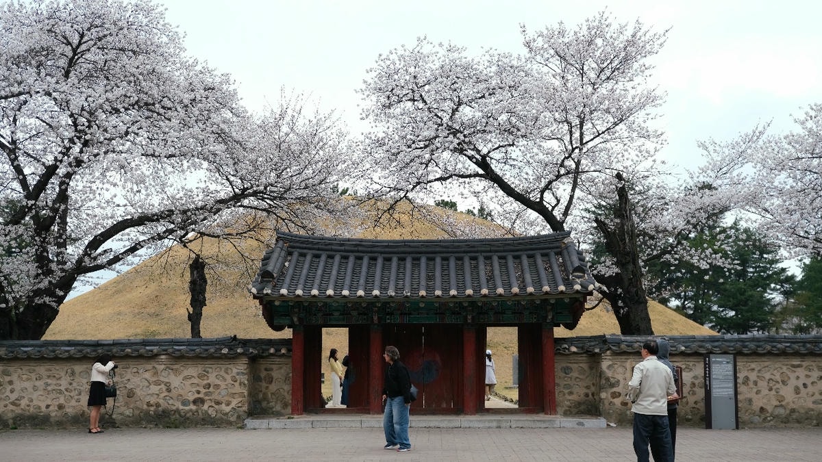 大陵苑대릉원