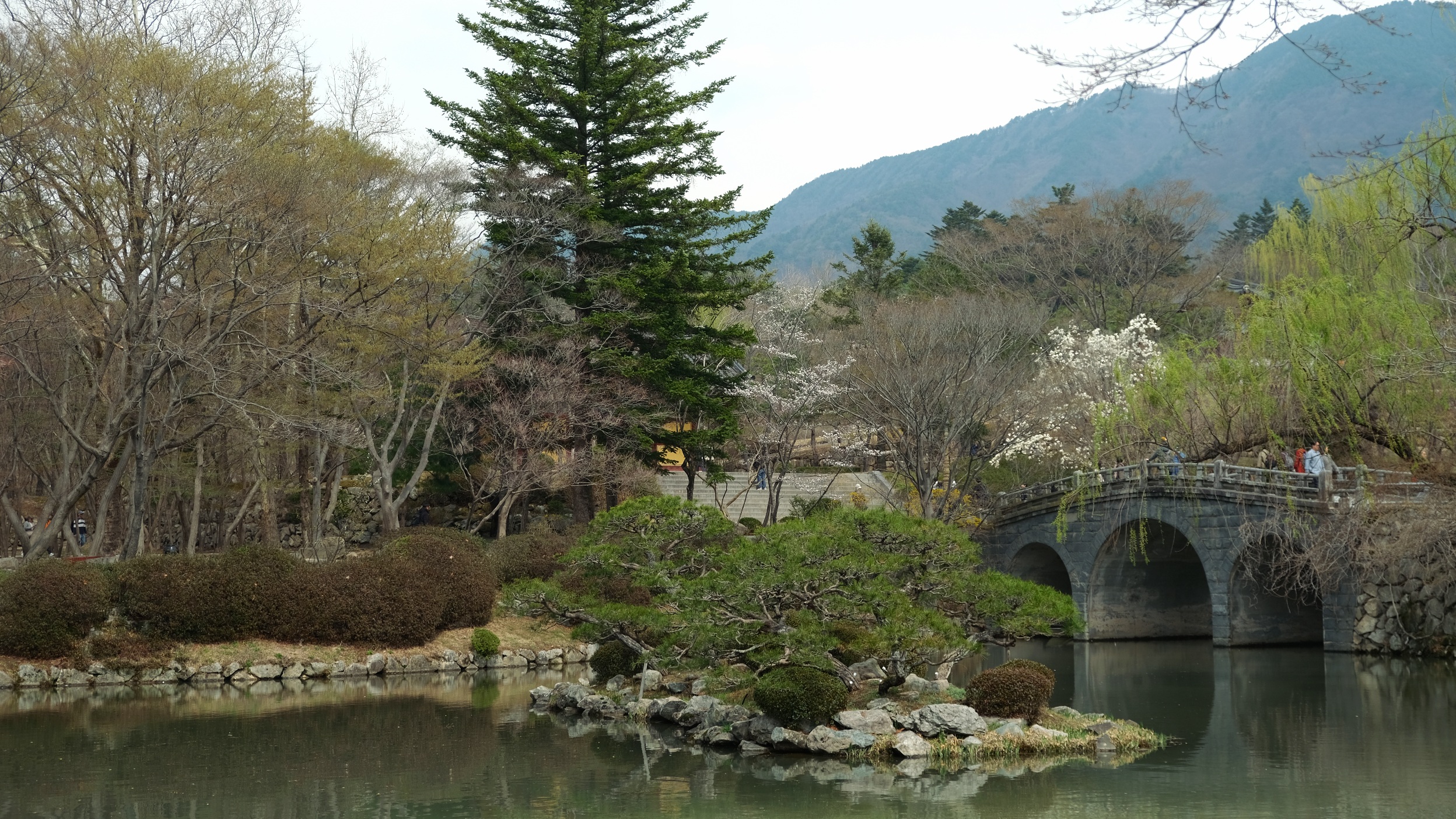 【慶州佛國寺】交通方式、一日遊行程,慶州很值得訪的世界文化遺產! - 第5張圖 ▲我一路從正門踏進之後,其實第一個地方遇到的並非佛國寺的本體,而是會先經過解脫橋和般若橋。雖然一開始感覺就要步行一大截,後來發現其實也還可以。