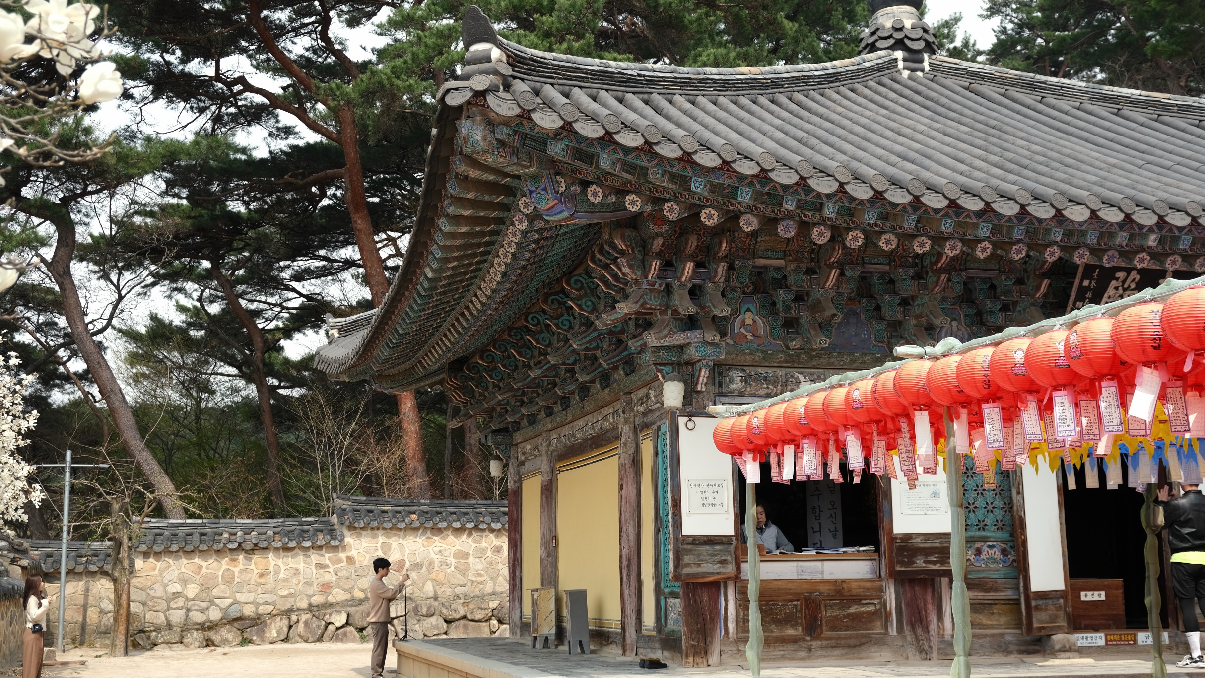 【慶州佛國寺】交通方式、一日遊行程,慶州很值得訪的世界文化遺產! - 第11張圖 佛國寺極樂殿