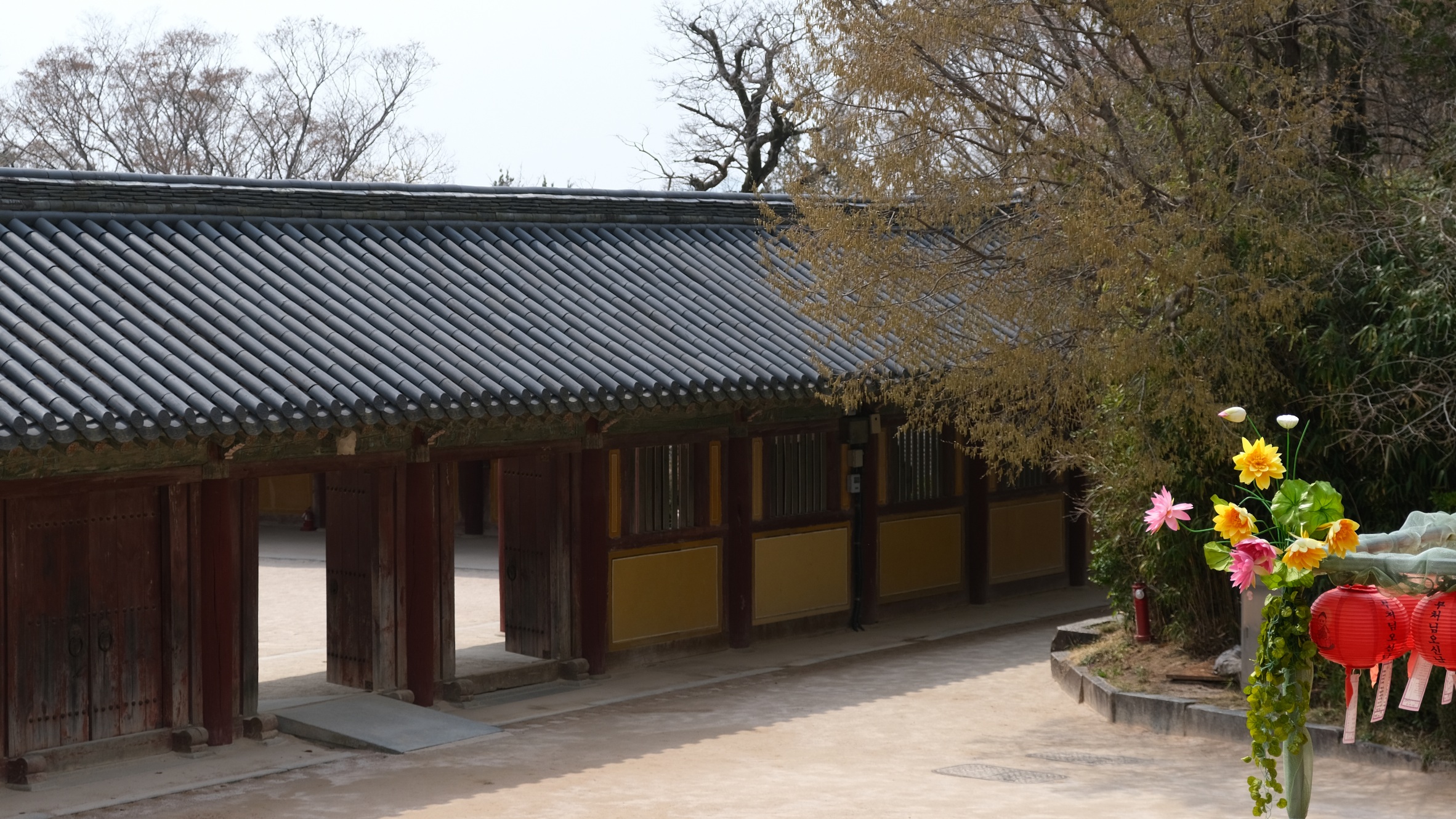 【慶州佛國寺】交通方式、一日遊行程,慶州很值得訪的世界文化遺產! - 第17張圖
