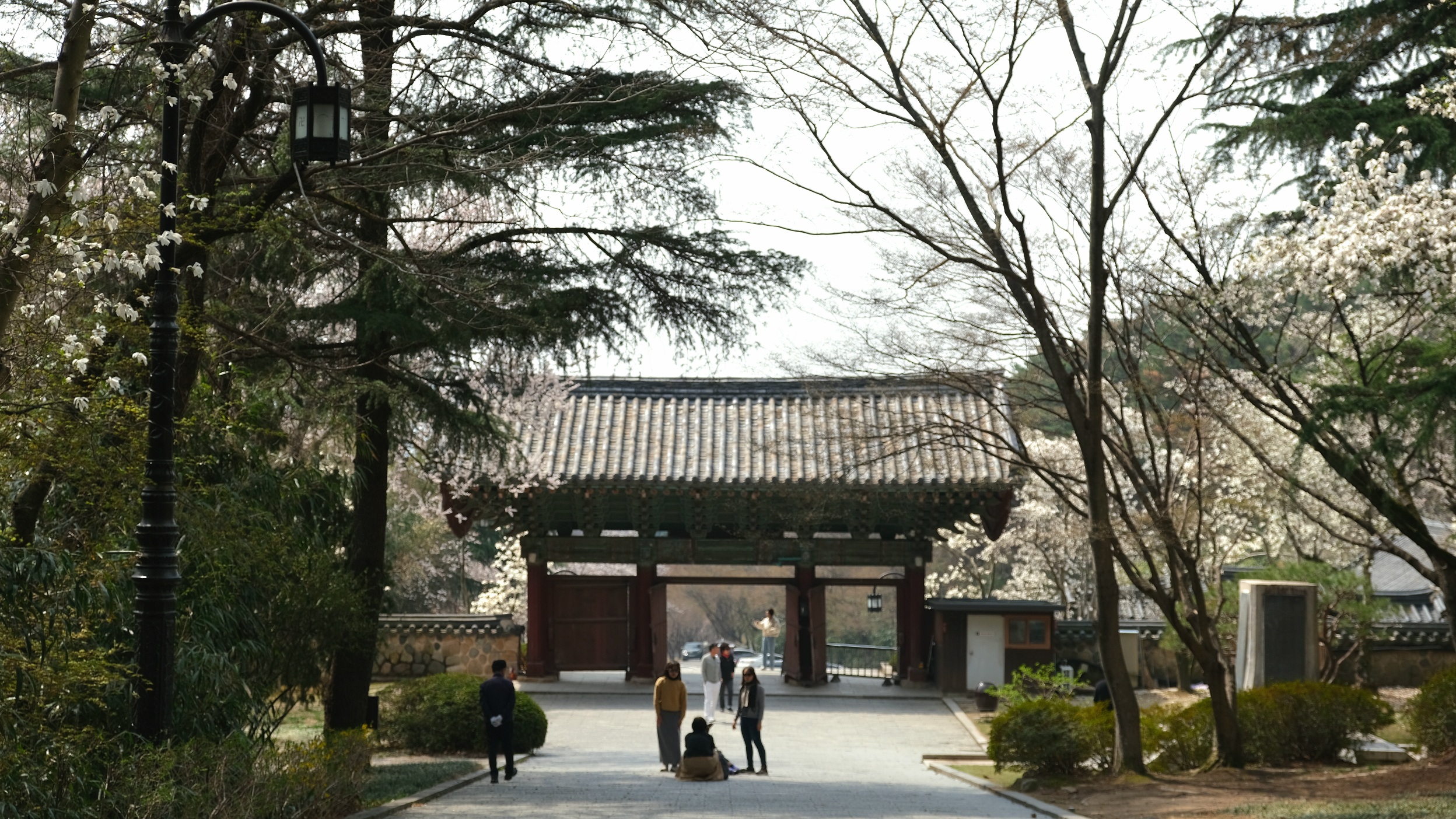【慶州佛國寺】交通方式、一日遊行程,慶州很值得訪的世界文化遺產! - 第20張圖