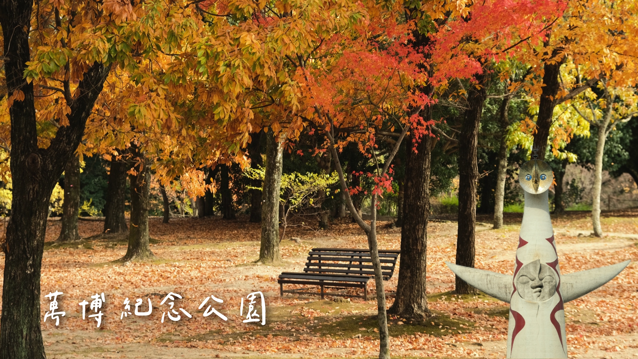 大阪萬博紀念公園值得去嗎？還有太陽之塔。交通/門票/秋天楓葉完整攻略！