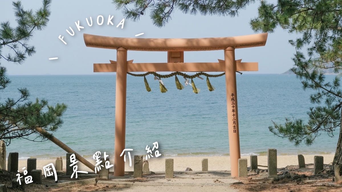 【釜山機票2025】釜山便宜機票怎麼買?價格、促銷、航班比較懶人包! - 第6張圖