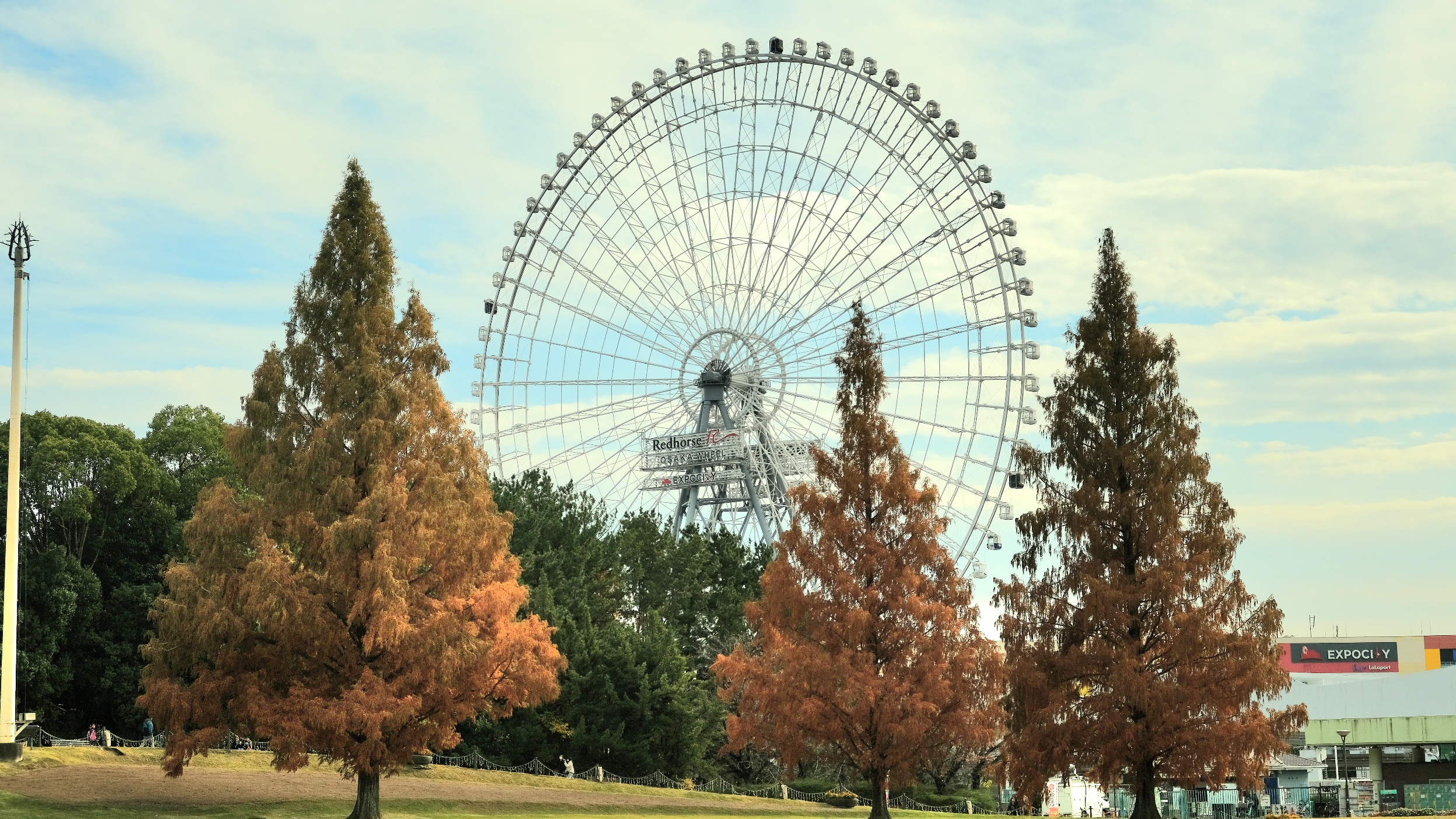 大阪萬博紀念公園值得去嗎?還有太陽之塔。交通/門票/秋天楓葉完整攻略! - 第9張圖 萬博紀念公園:秋天楓葉、公園景色看點整理!