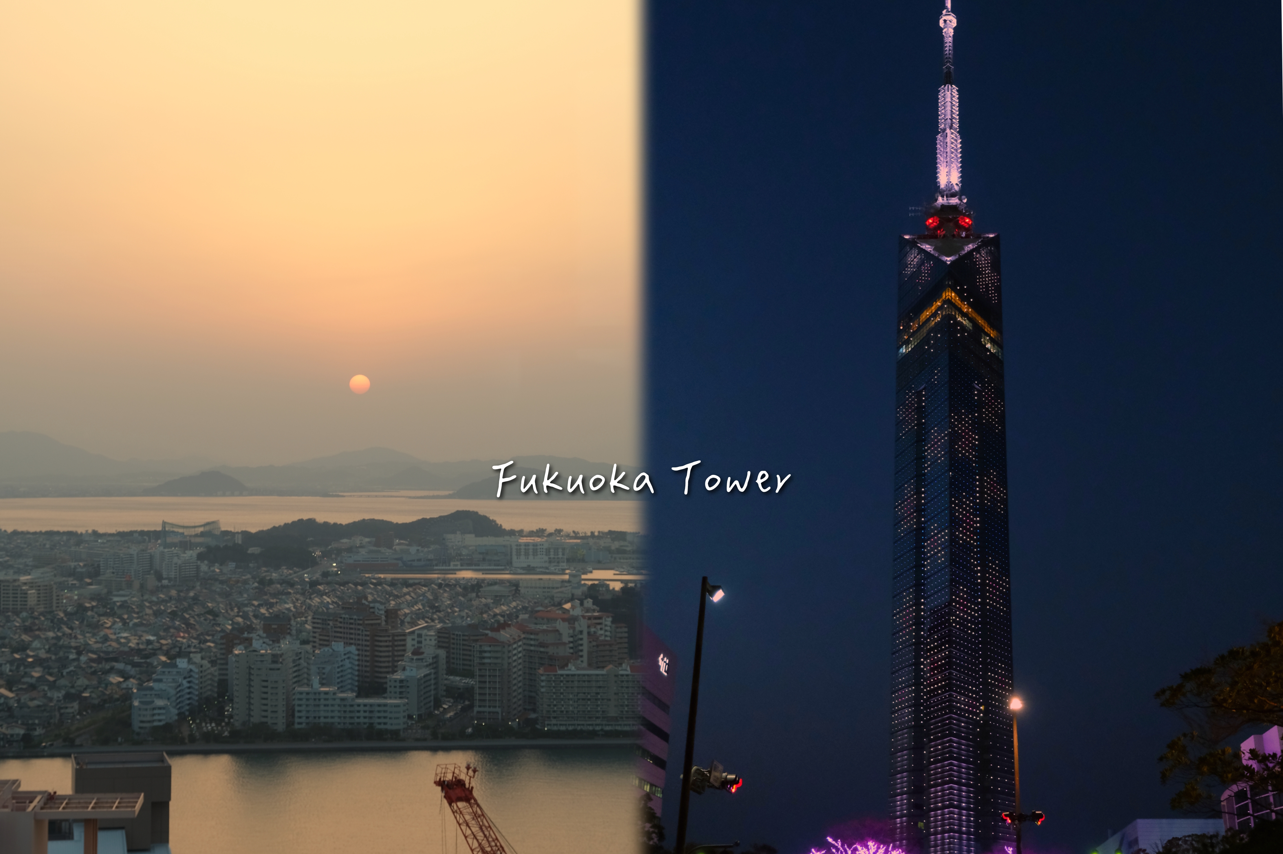 【福岡塔攻略】交通.門票.5個特色看點 。夕陽夜景盡收眼底，福岡一日遊必訪！